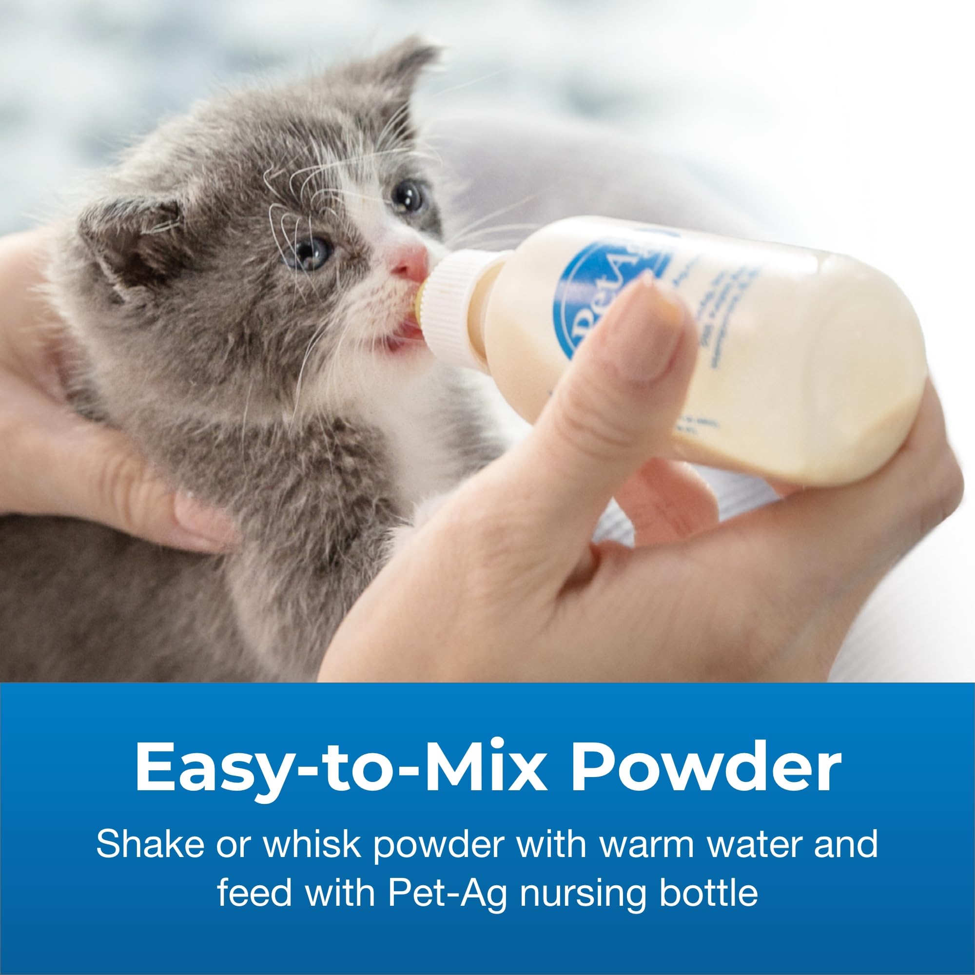 Pet-Ag KMR Kitten Milk Replacer Powder - 12 oz, Pack of 3 - Powdered Kitten Formula with Prebiotics, Probiotics & Vitamins for K