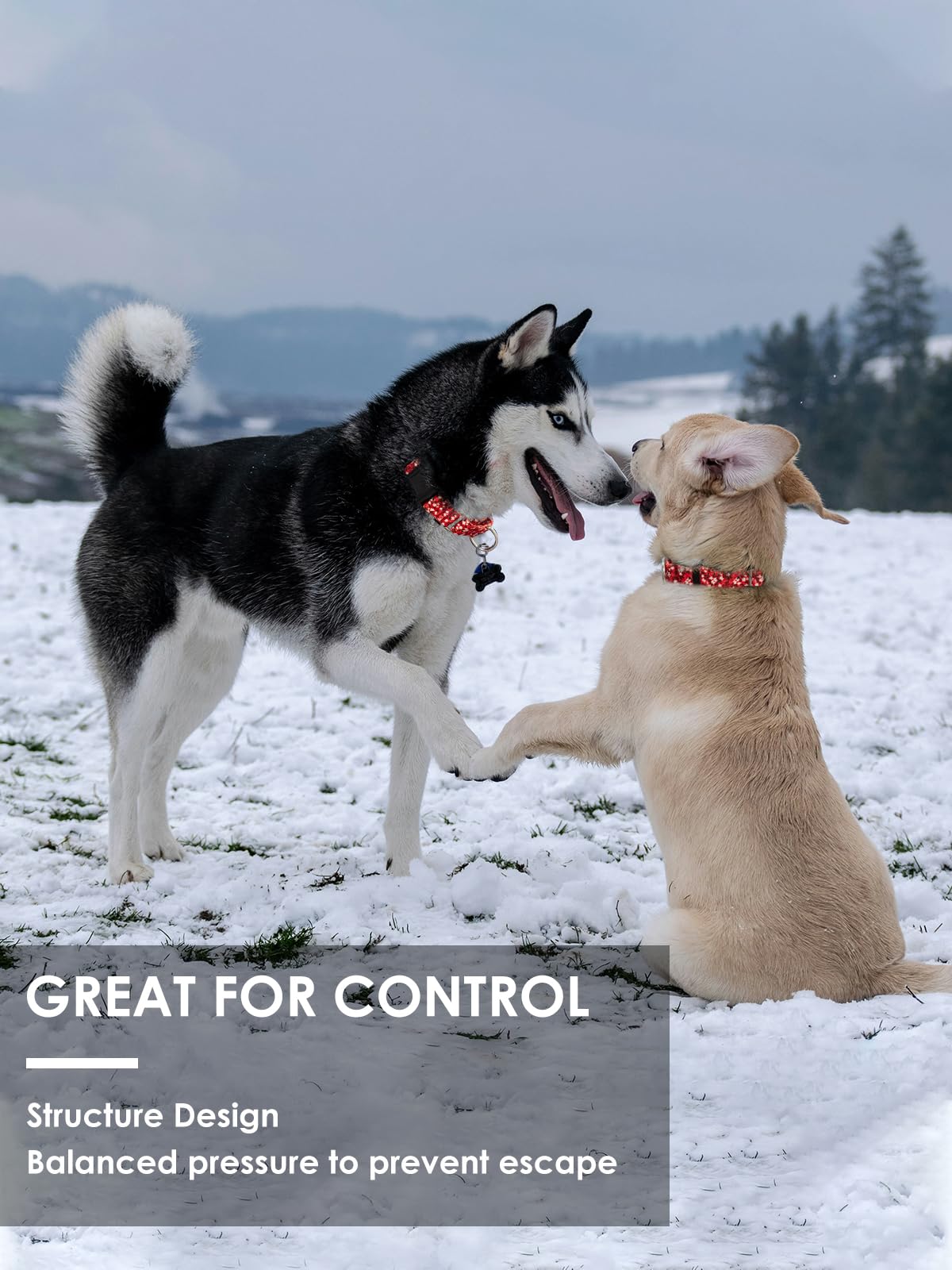 Joocpup Martingale Dog Collar With Tag Ring - Adjustable Soft Nylon No-Slip Design For Small, Medium & Large Dogs, Red Flower M