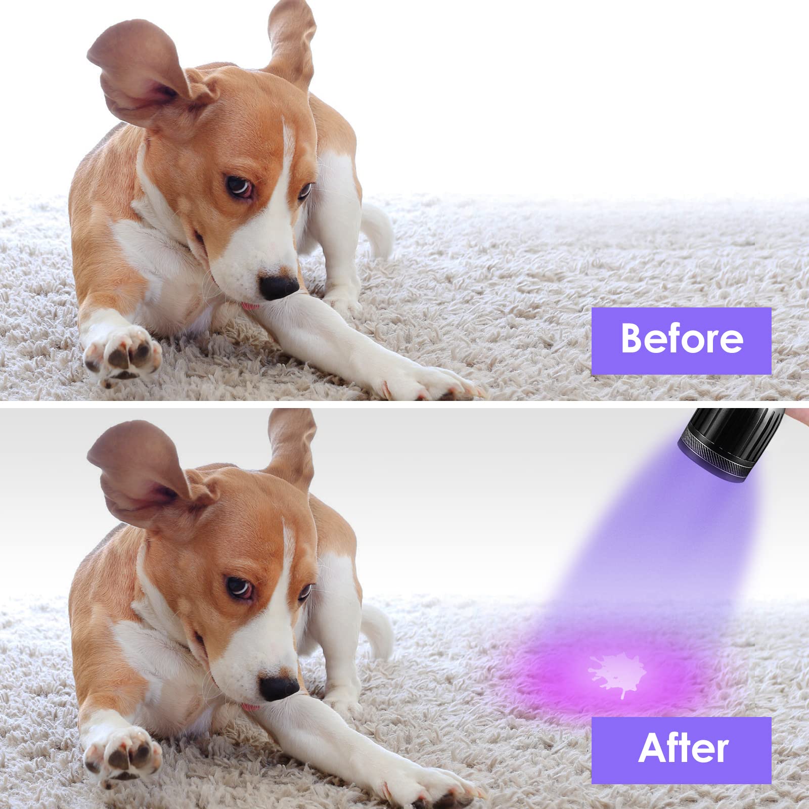 UniqueFire 1408 UV Flashlight, 365nm Black Light with 3 LEDs - Ideal for Pet Urine Detection, Antiques, Scorpion Search, and More