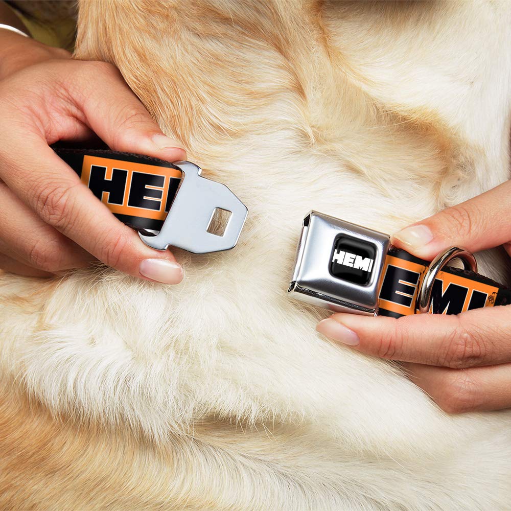 Dog Collar Seatbelt Buckle Hemi Bold Black Orange White Black 18 To 32 Inches 1.5 Inch Wide
