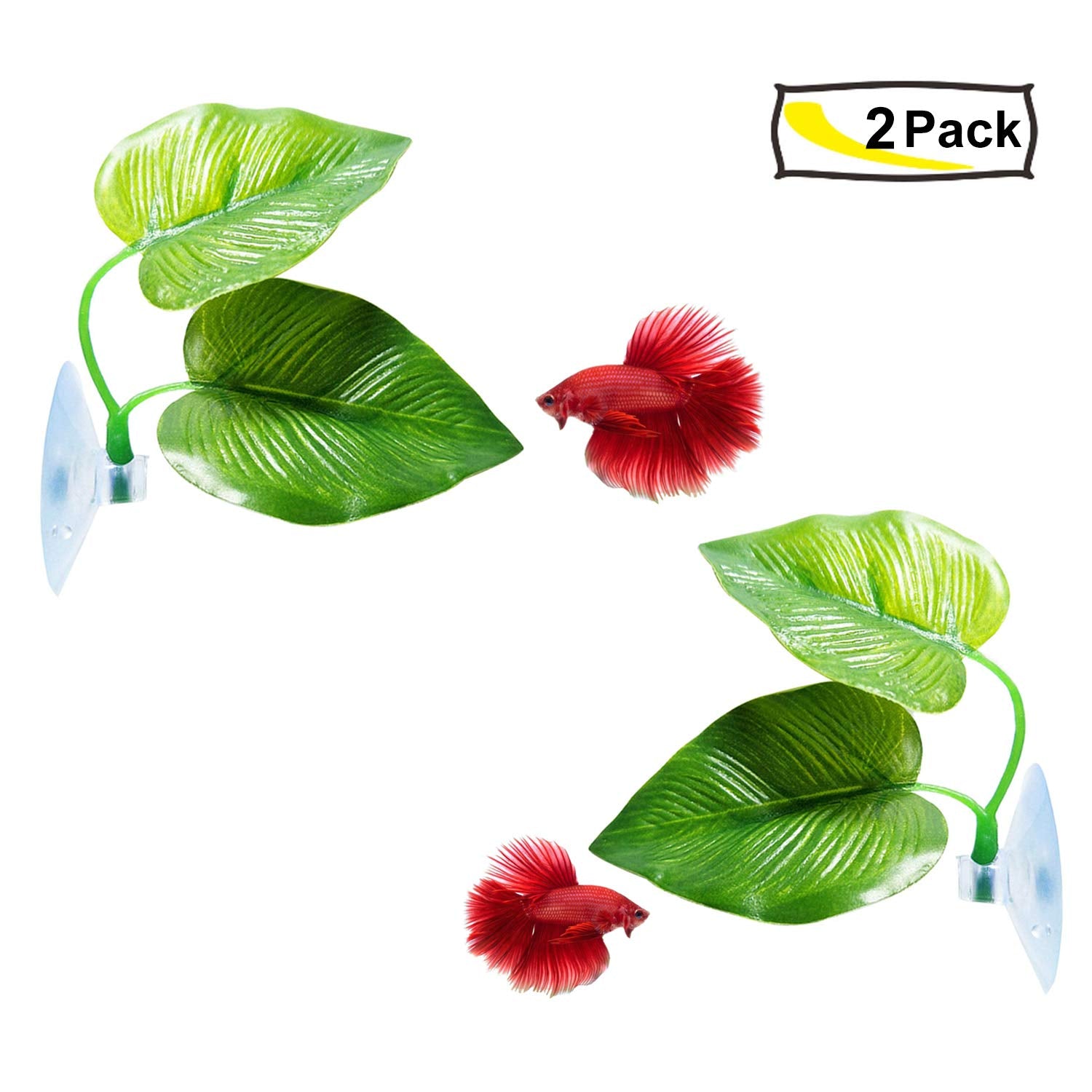 Cousduobe 2 Pack Betta Fish Leaf Pad Improves Betta'S Health By Simulating The Natural Habitat - Natural, Organic, Comfortable Rest Area For Fish Aquarium