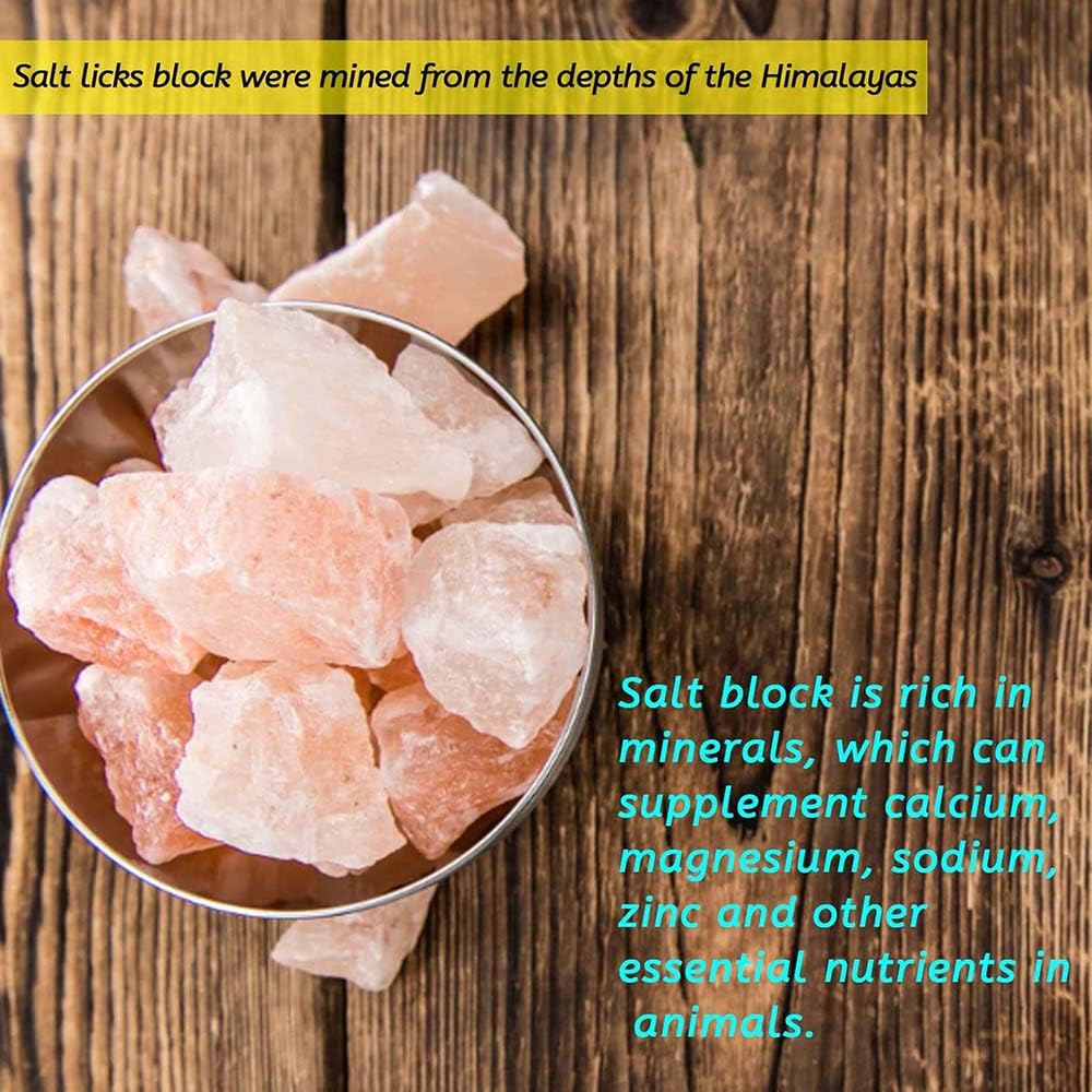 Lanxitown 4 Pcs Rabbit Salt Lick And 5 Pcs Loofah Rabbit Chew Toys Himalayan Salt Block Natural Small Animal Mineral Salt With R