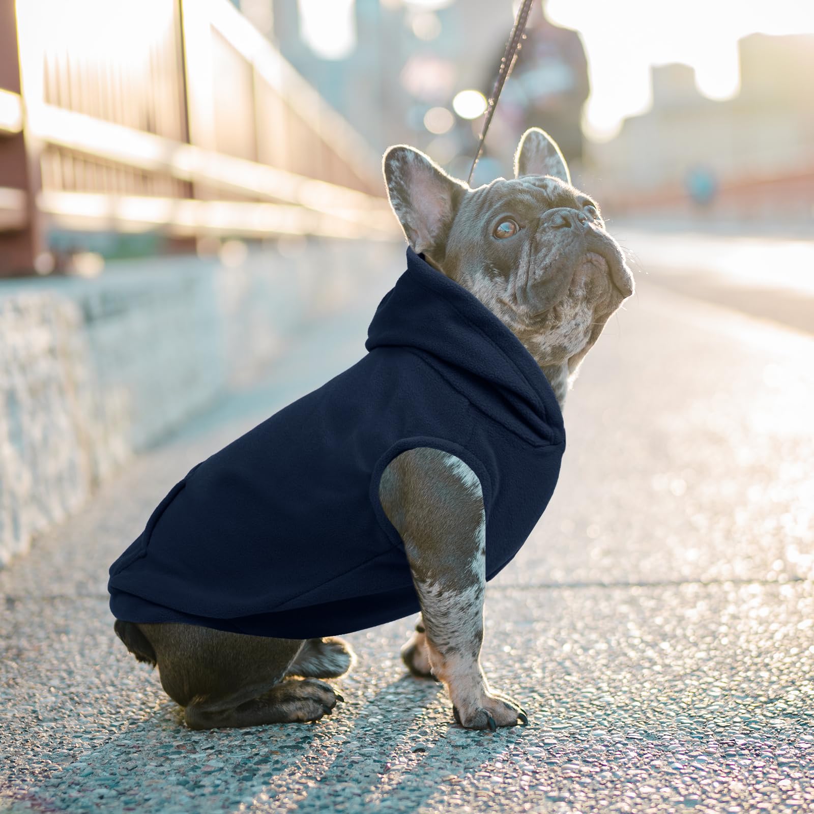 Iecoii Dog Sweatshirt For Large Dogs,Hooded Fleece Dog Vest With Leash Hole,Xxxl Dog Sweater Large Size Dog Winter Clothes,Large