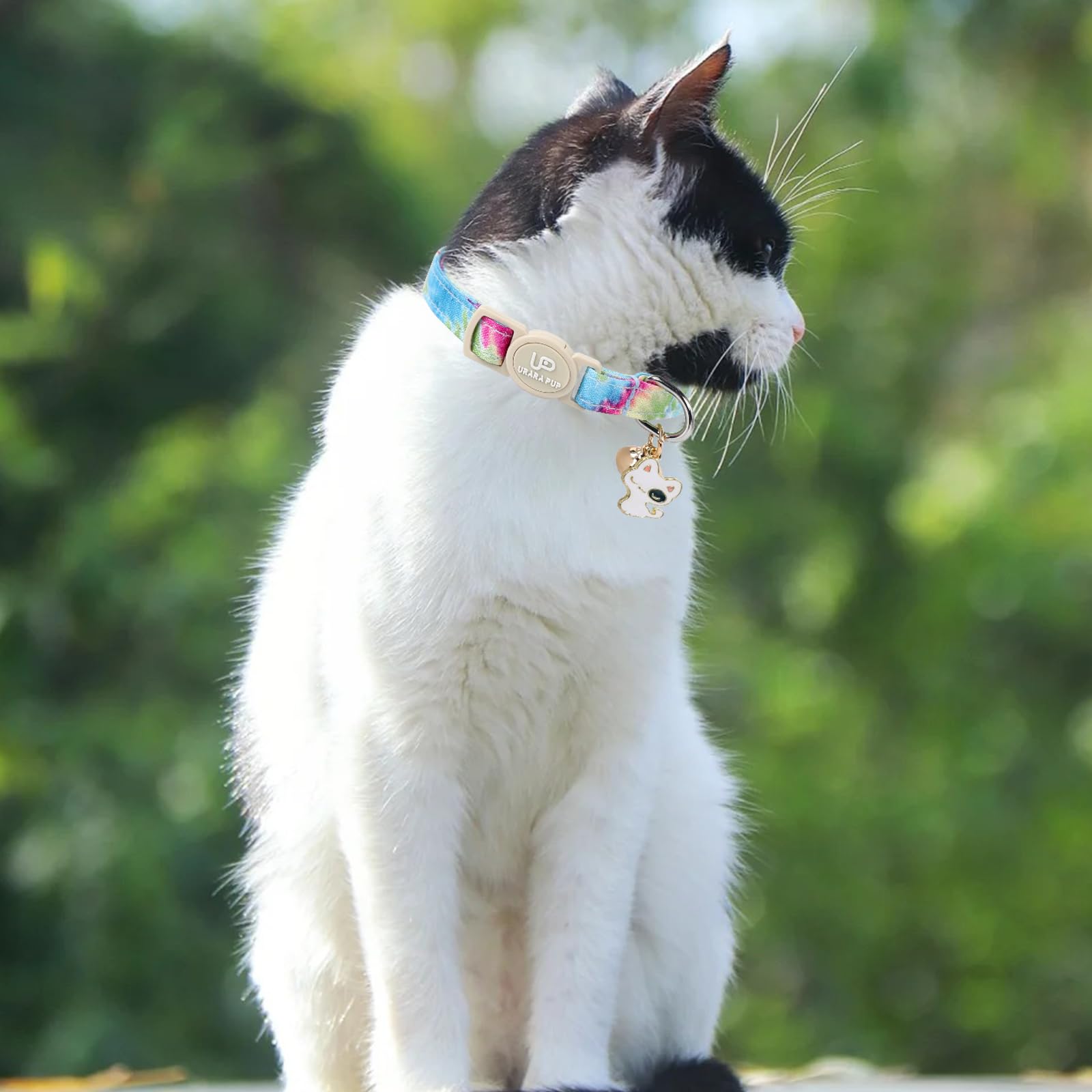 Up Urara Pup Cat Collar, 2 Pack Cat Collars Cute Breakaway Tiedye Cat Collar With Bell, Holiday Kitten Collars Summer Blue Grid