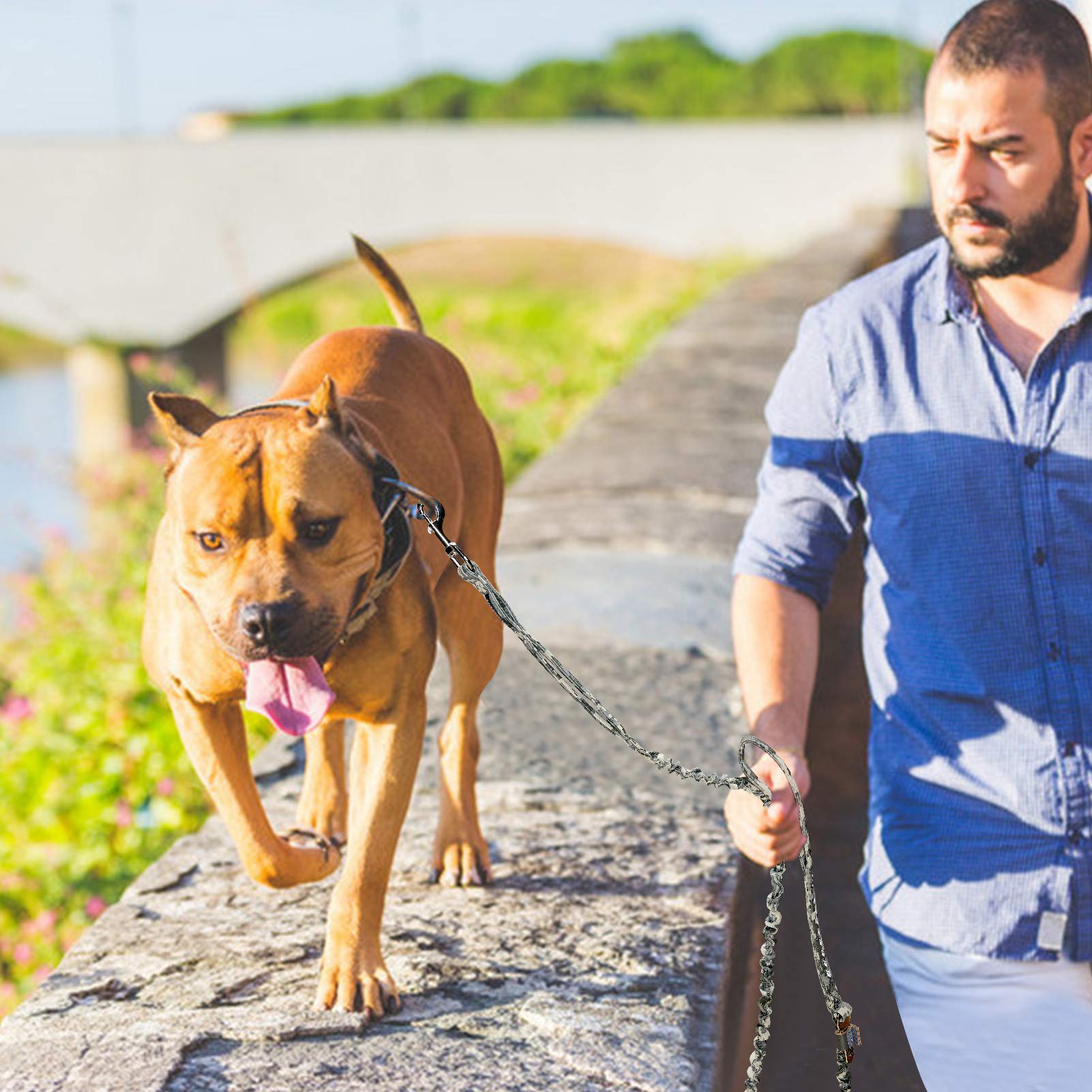 Auroth Dog Leash Large Dogs, Heavy Duty Dog Leash Bungee, No Pull Dog Leash For Shock Absorption, Grey Camo Dog Training Leashes