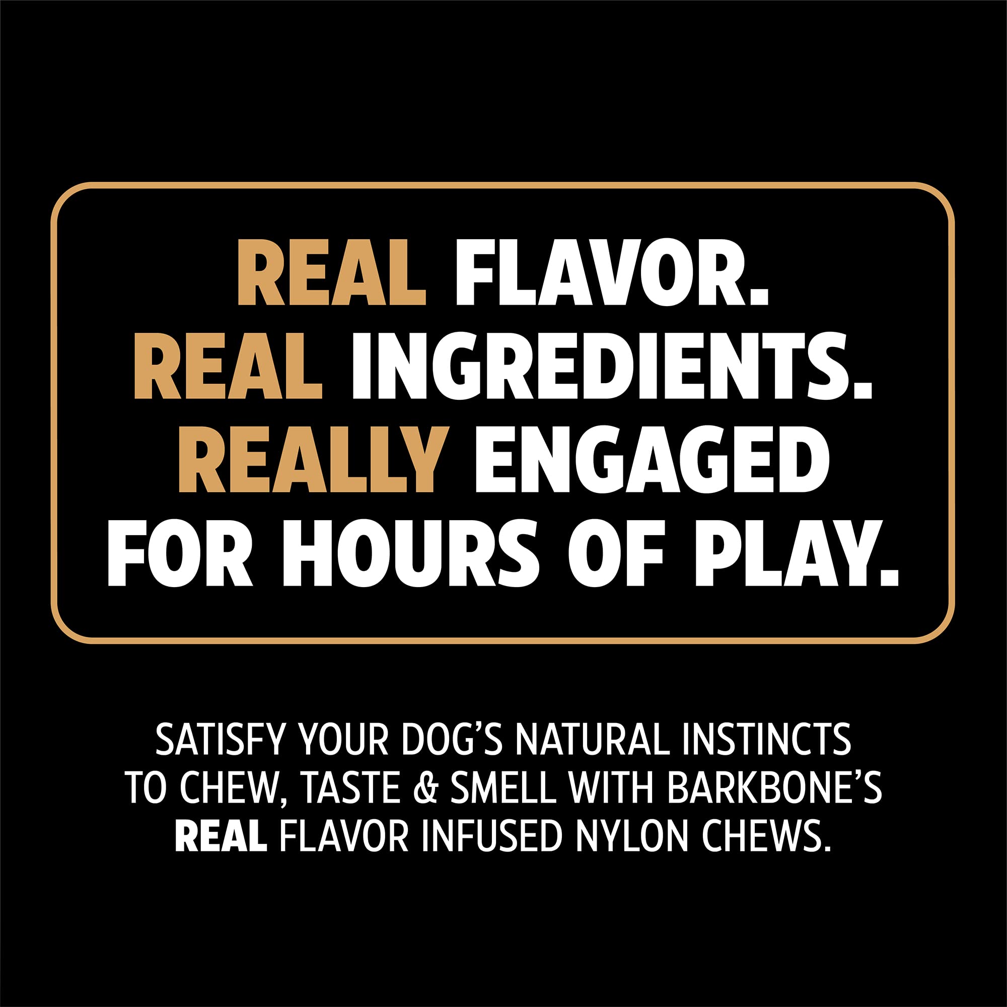 Pet Qwerks Zombie BarkBone - Nylon Dog Bone for Moderate Chewers - Cheddar Cheese Flavor - 9.5