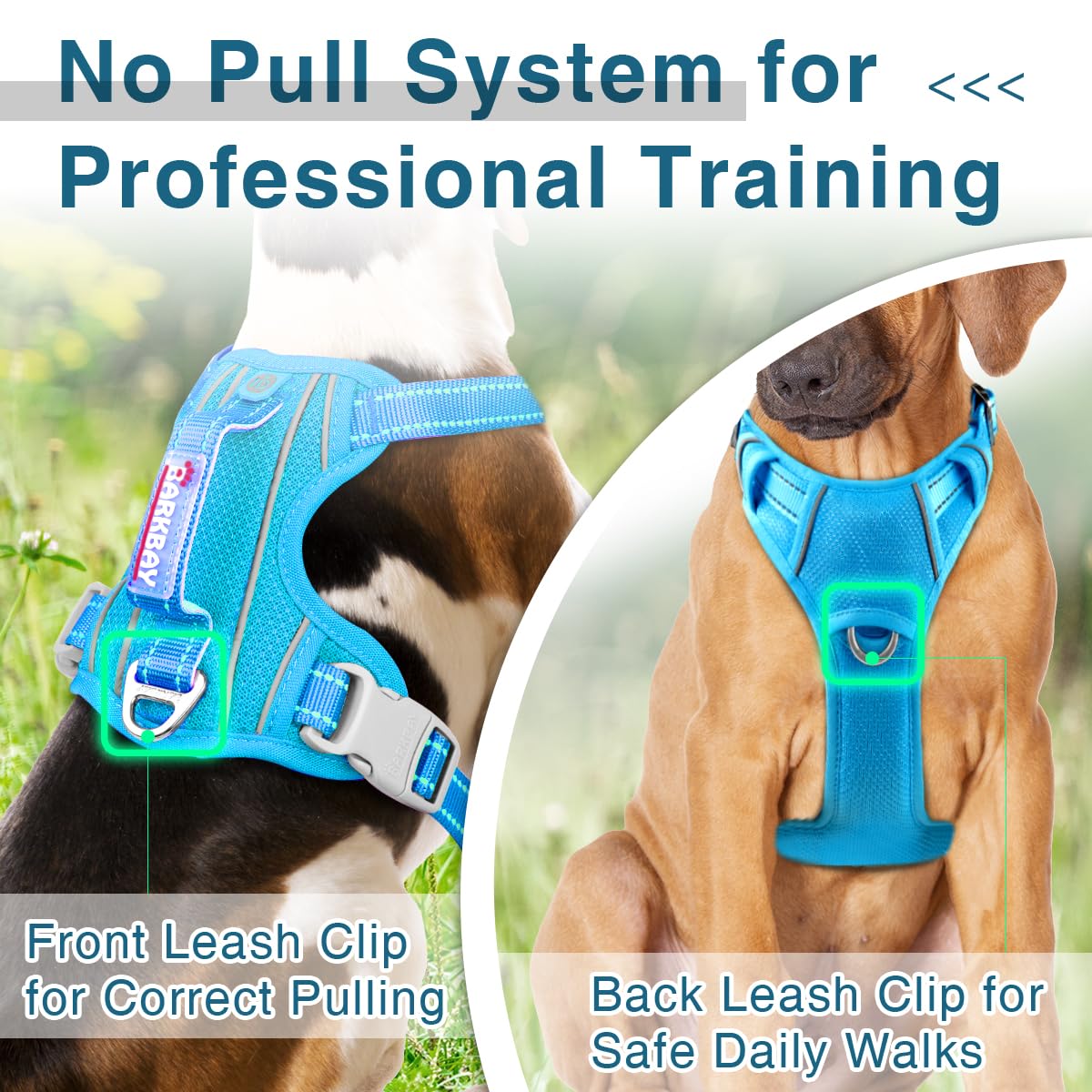 Barkbay Dog Harness No Pull With Id Tag Pocket - Heavy Duty, Reflective, Easy Control For Large Dogs (Blue,L)
