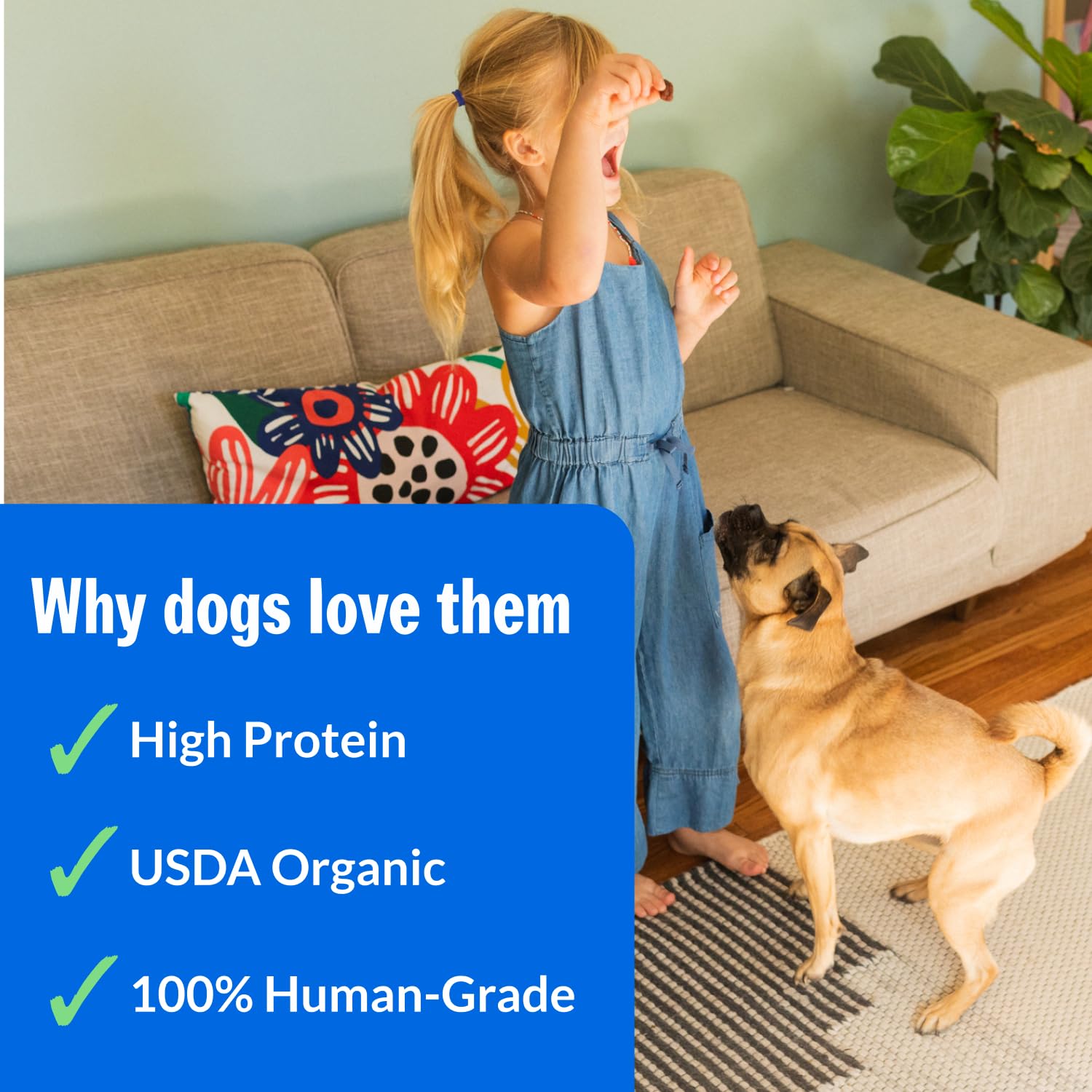 PetPlate Chicken Apple Sausage Bites, Human Grade Dog Treats, All Life Stages, Grain-Free, Organic and Real Ingredients, High Pr