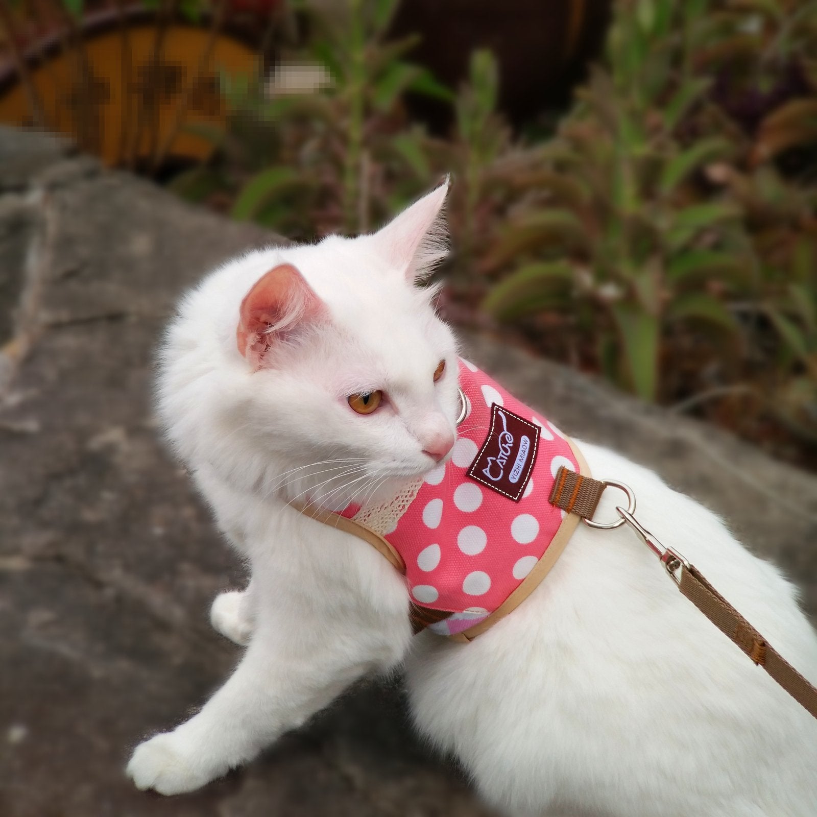 Yizhi Miaow Cat Harness And Leash For Walking Escape Proof, Adjustable Cat Vest Harness, Padded Stylish Cat Walking Jackets, Polka Dot Pink, Small