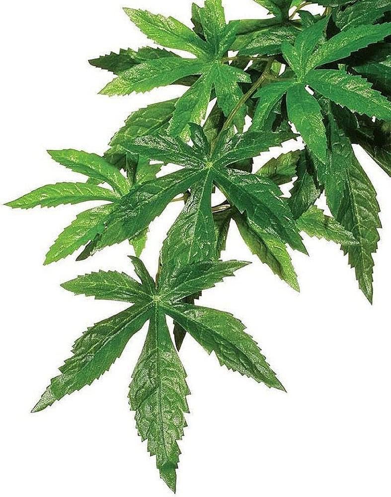 Exo Terra Silk Terrarium Plant, Medium, Abutilon