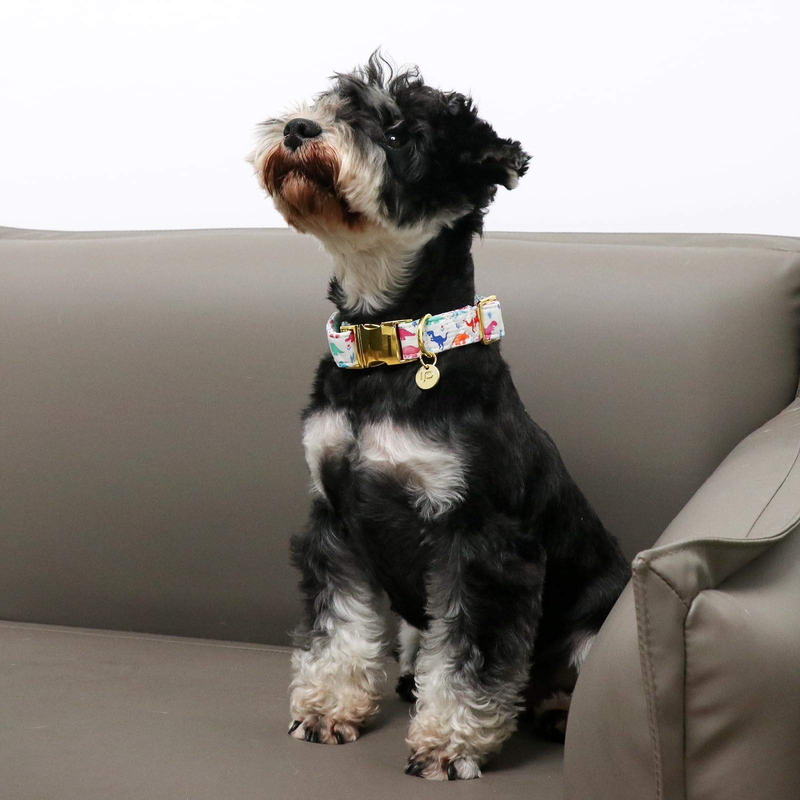Up Urara Pup Dinosaur Summer Cotton Dog Collar With Metal Buckle Gift Collar For Small Medium Large Girls Or Boys Dogs Cute Dura