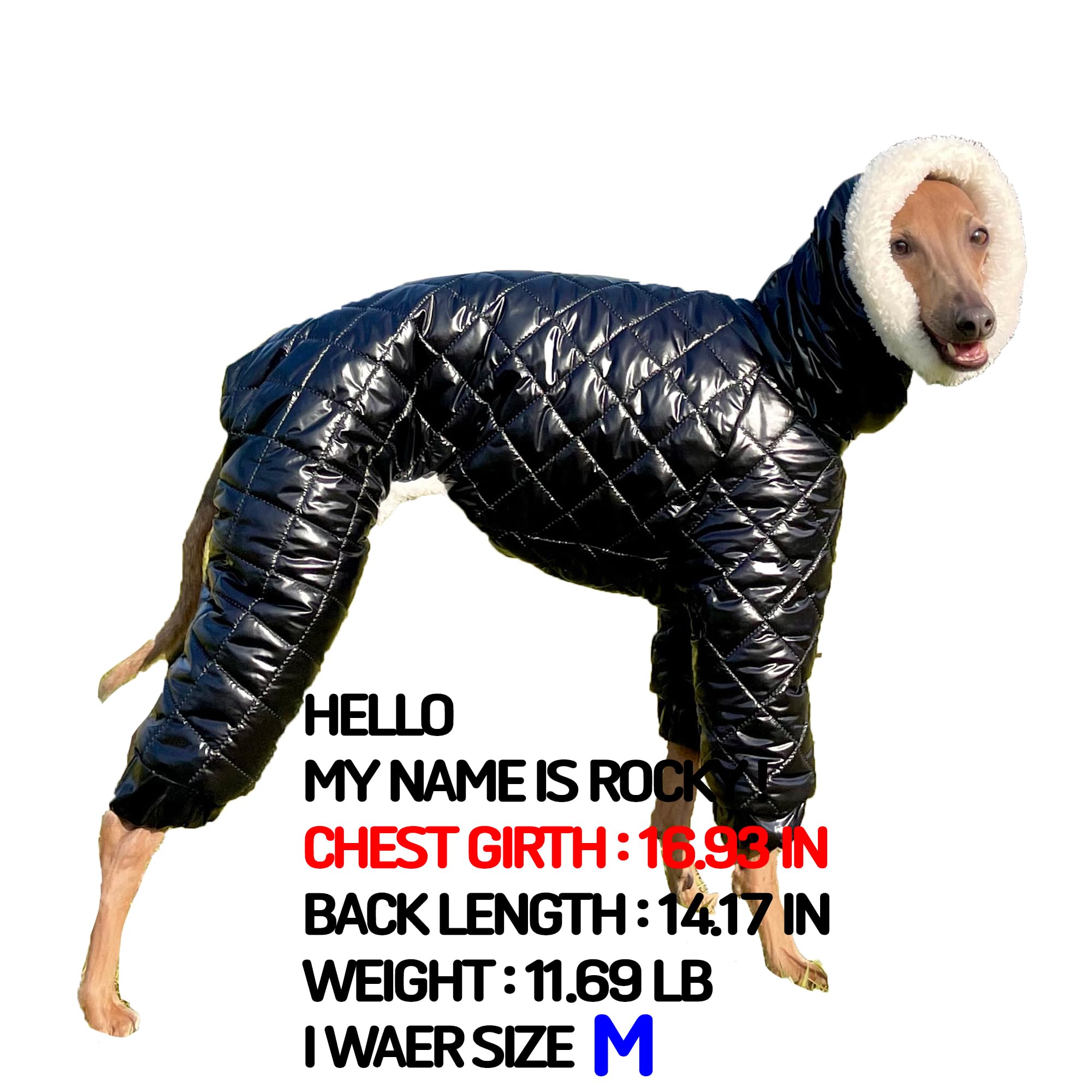 D Doggy Star Italian Greyhound Snowsuit Winter Thick Padded Coat Warm Outfits Jacket Turtleneck Clothes Whippet For Dog (S,Snows