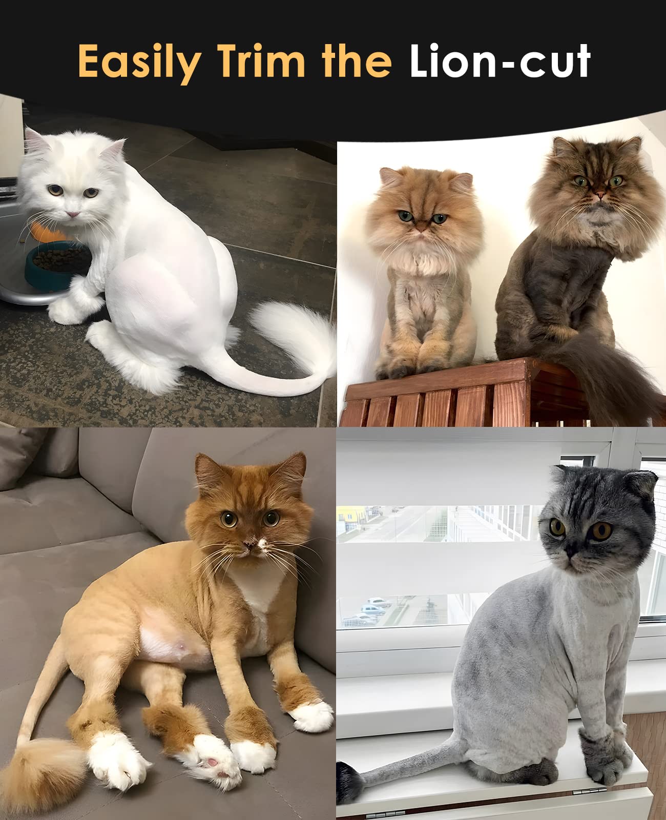 Oneisall Quiet Cat Clippers For Matted & Long Hair, 2-Speed Cordless Pet Shaver Grooming Kit For Cats, Small Dogs & Animals (Bla