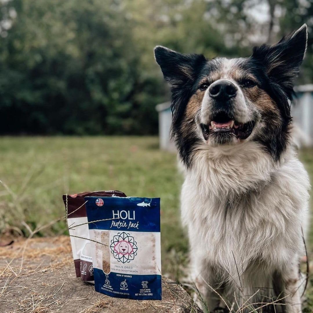 HOLI Elk & Venison Freeze Dried Dog Treats - All Natural and Wild Caught | Vitamin and Mineral Fortified | Made in USA - Human G