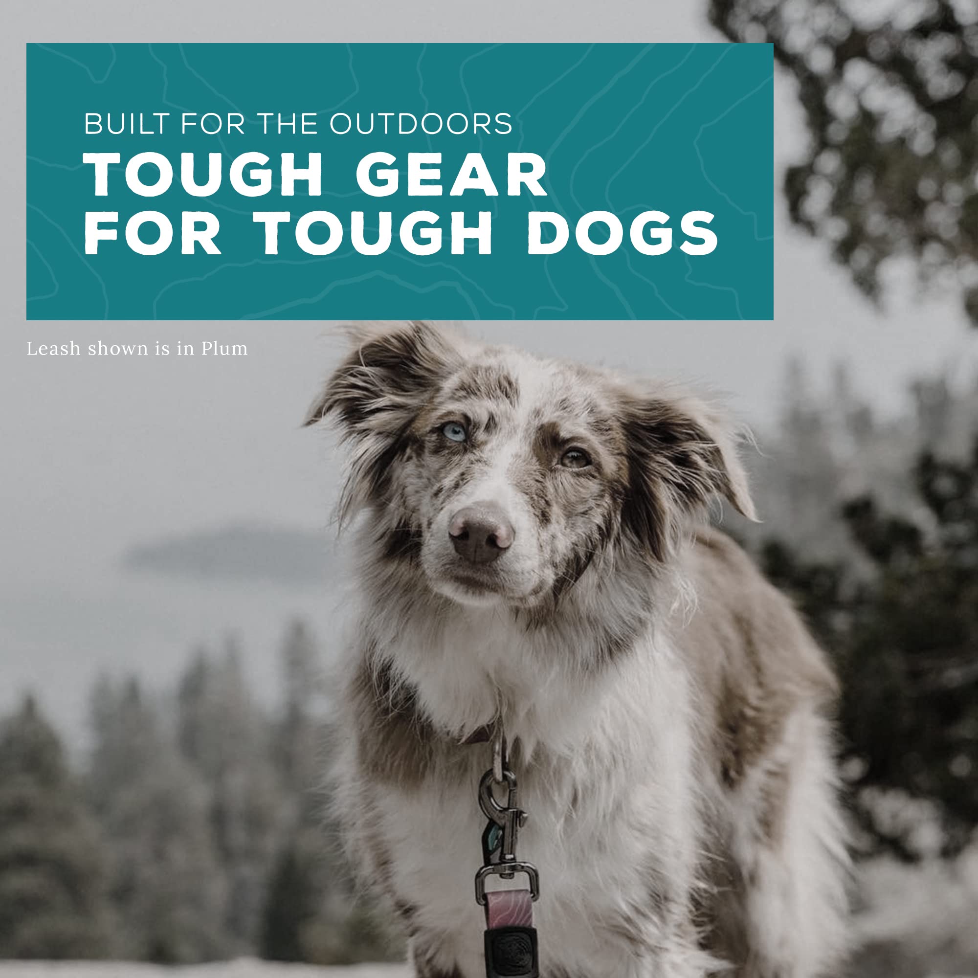 Wilderdog Waterproof Dog Leash - Repels Water & Dirt - 6Ft - Black - 1Ct