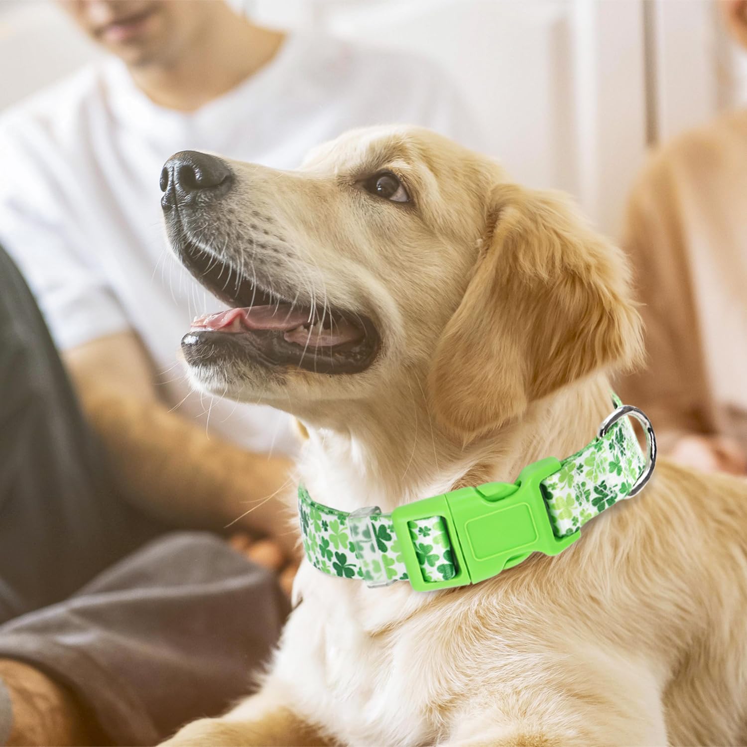 Dog Collars For Puppy Small Dogs With Irish Green Shamrock Clovers Design For Boy & Girl Dogs, Adjustable Heavy Duty Nylon Colla