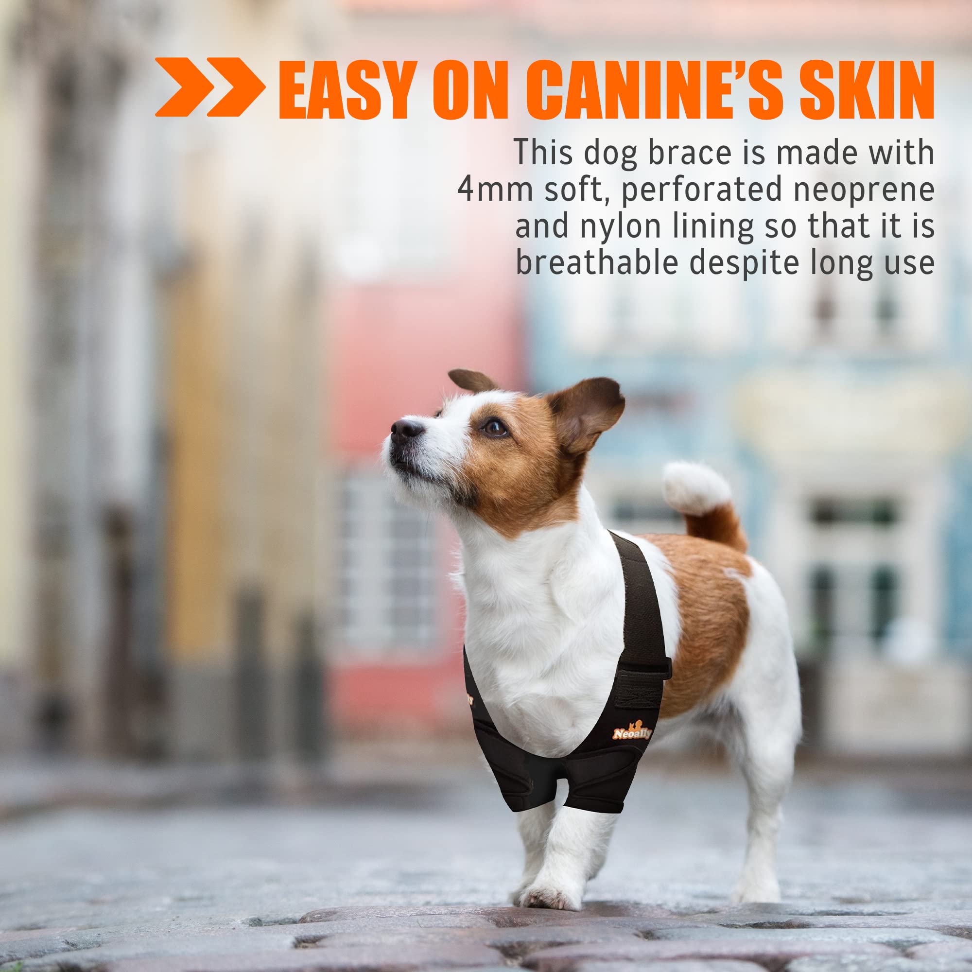 NeoAlly Dog Elbow Brace Protector Pads for Canine Elbow and Shoulder Support Elbow Hygroma, Dysplasia, Osteoarthritis, Elbow Cal