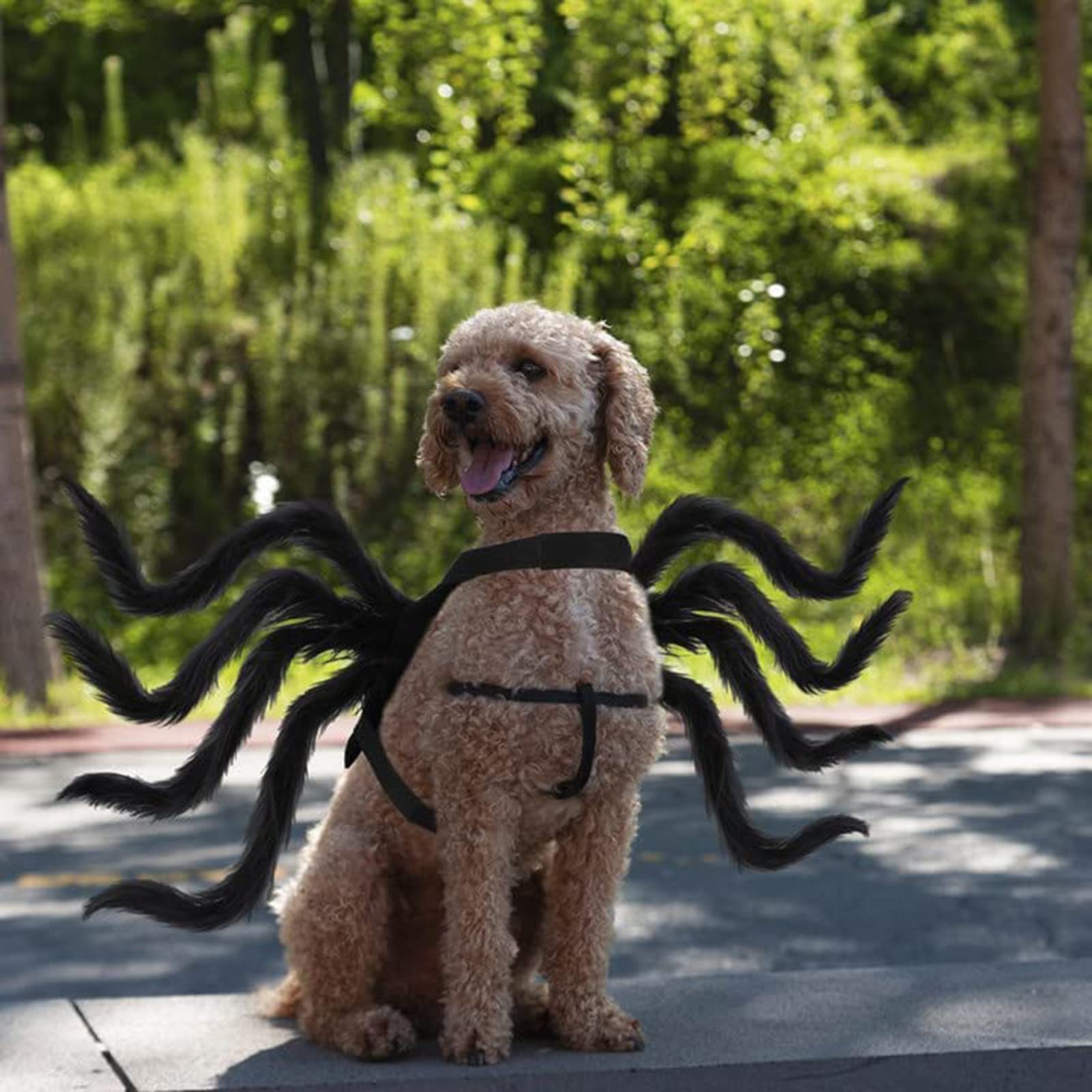 Rypet Pet Spider Costume - Halloween Spider Costume For Cats And Small To Medium Dogs Halloween Party Dress Up Festival Decorati