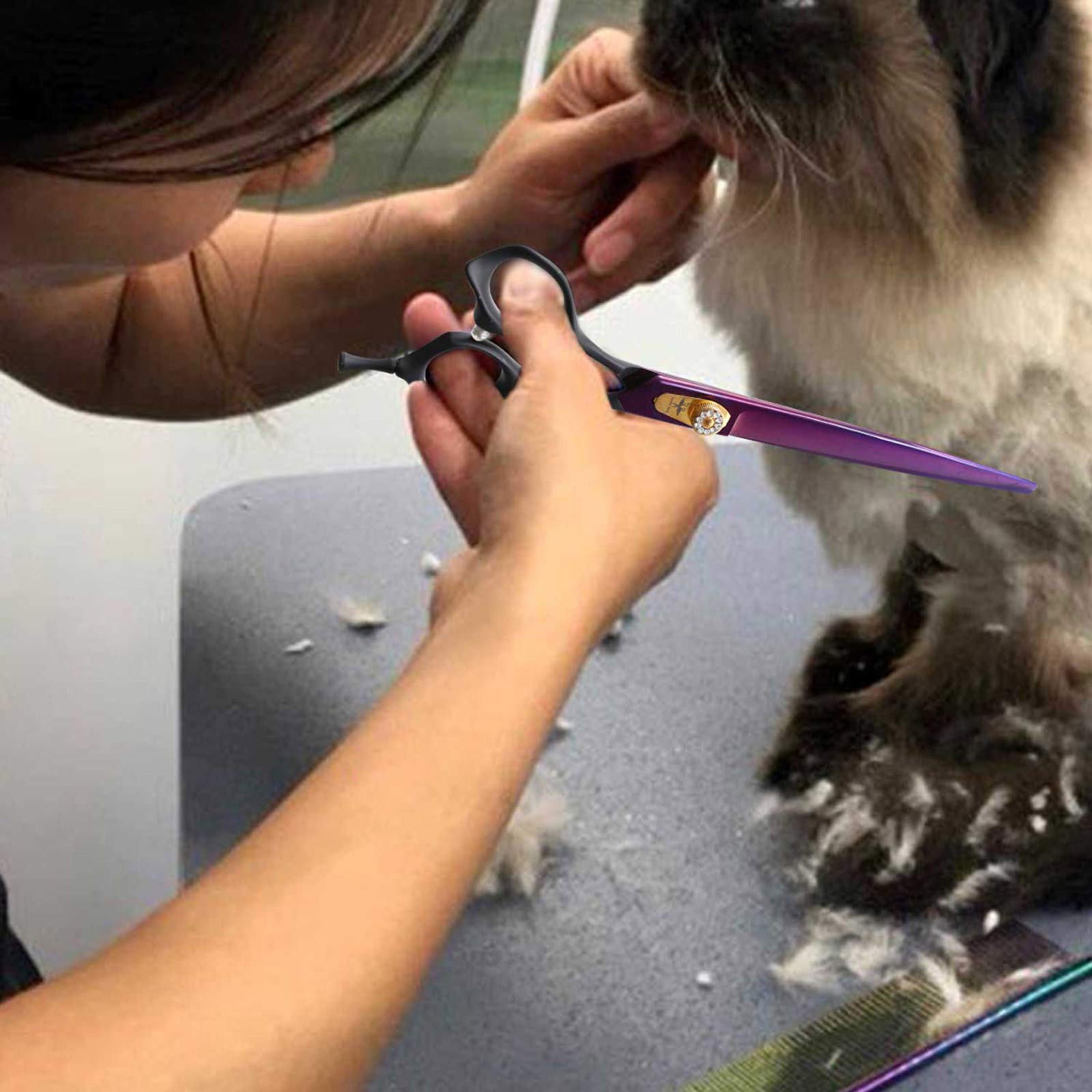 Purplebird 8 Inch Straight Dog Grooming Scissors Professional Pet Cutting Shears Safety Noiseless Blunt Tip Trimming Shearing For Dogs Cats Japanese Stainless Steel Purple