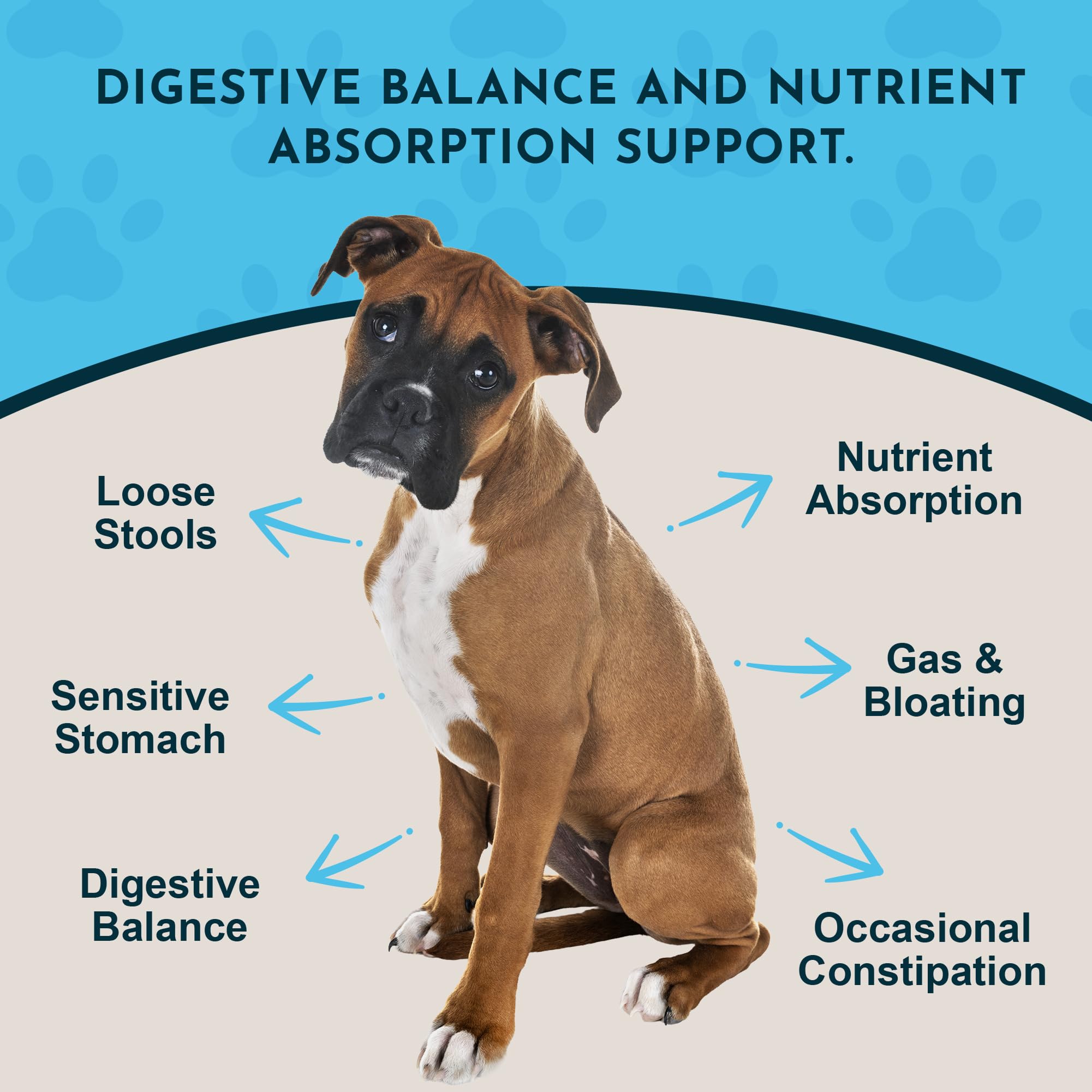 Animal Essential Plant Enzyme With Probiotics, 100 Gram