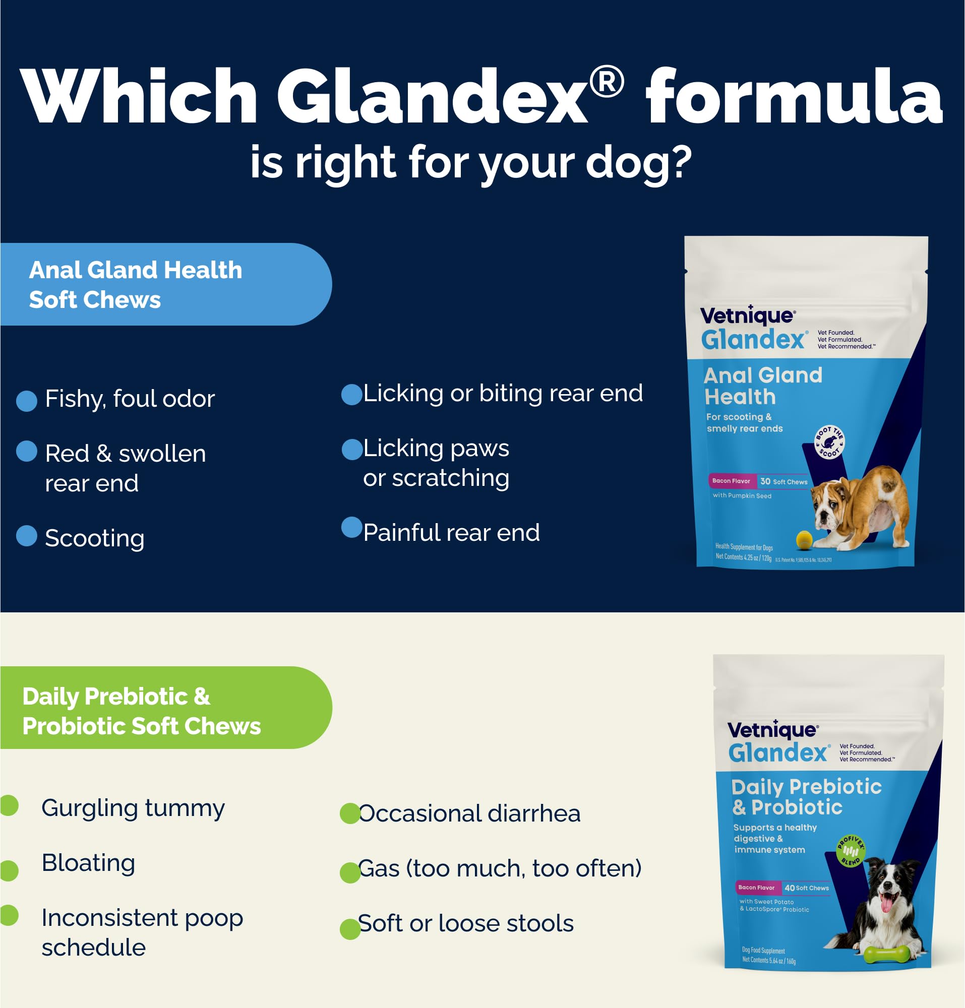 Vetnique Glandex Daily Probiotics for Dogs with Prebiotics to Support Gut Health with Fiber and Digestive Enzymes, Probiotic Che