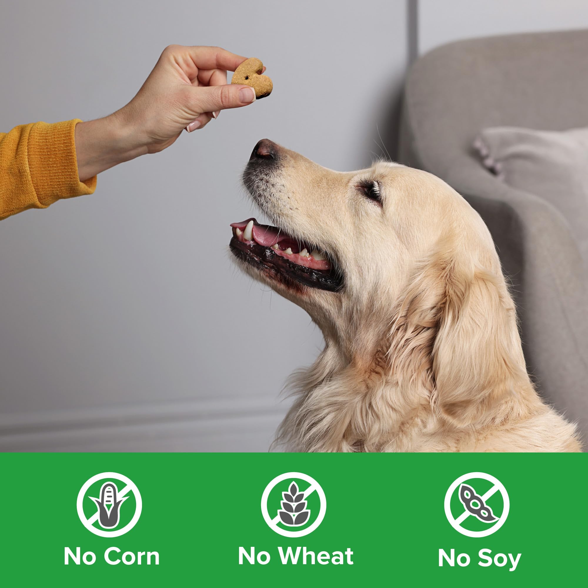 Blue Seal Kent Entrust Crunchers - Small Dog Treats, Happy Health Recipe - Crunchy Oven Baked Biscuits with Premium Ingredients,
