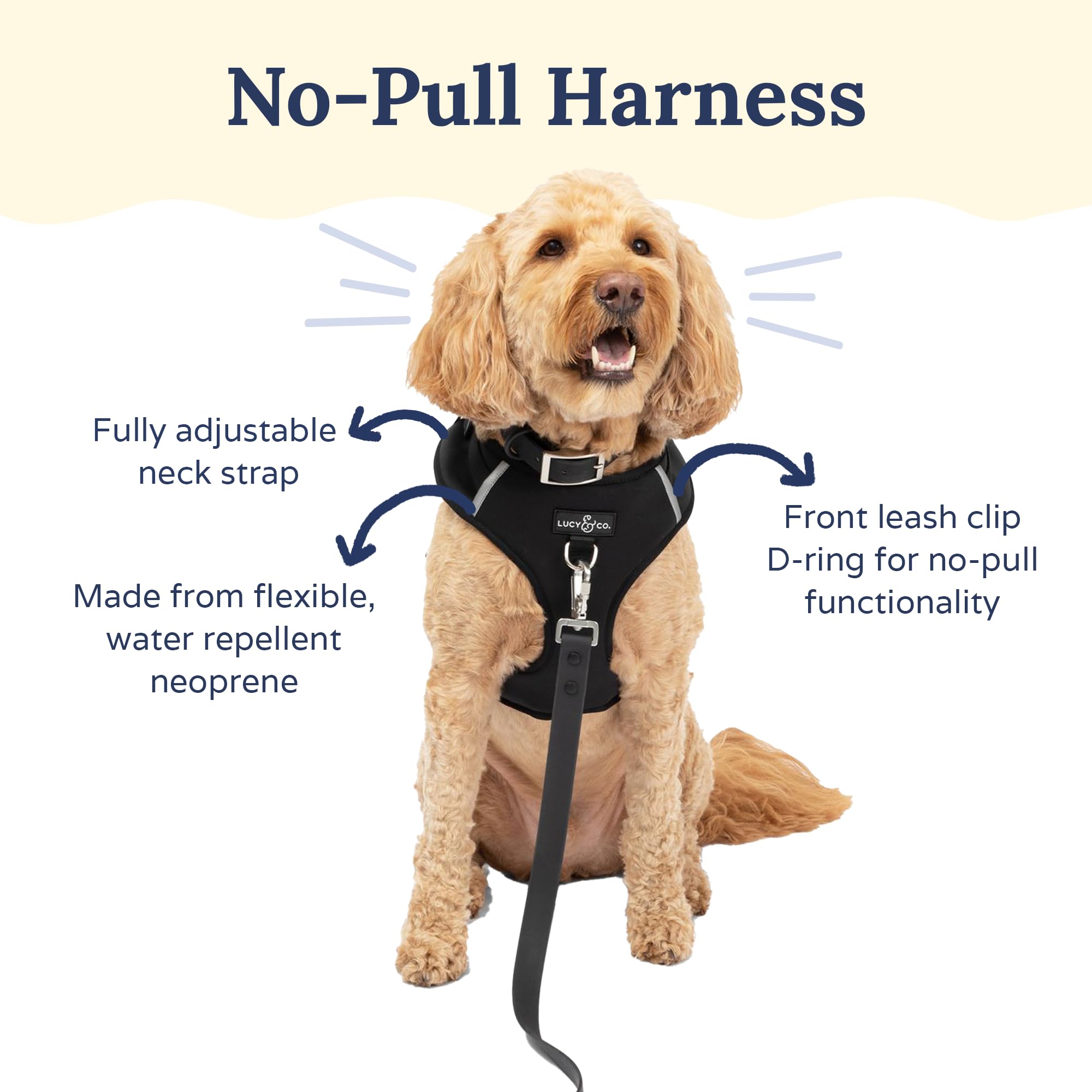 Lucy & Co. The Midnight No-Pull Dog Harness - Size Large - Vest to Stop Pulling & Walk Easy - Comfortable Leash Training Product