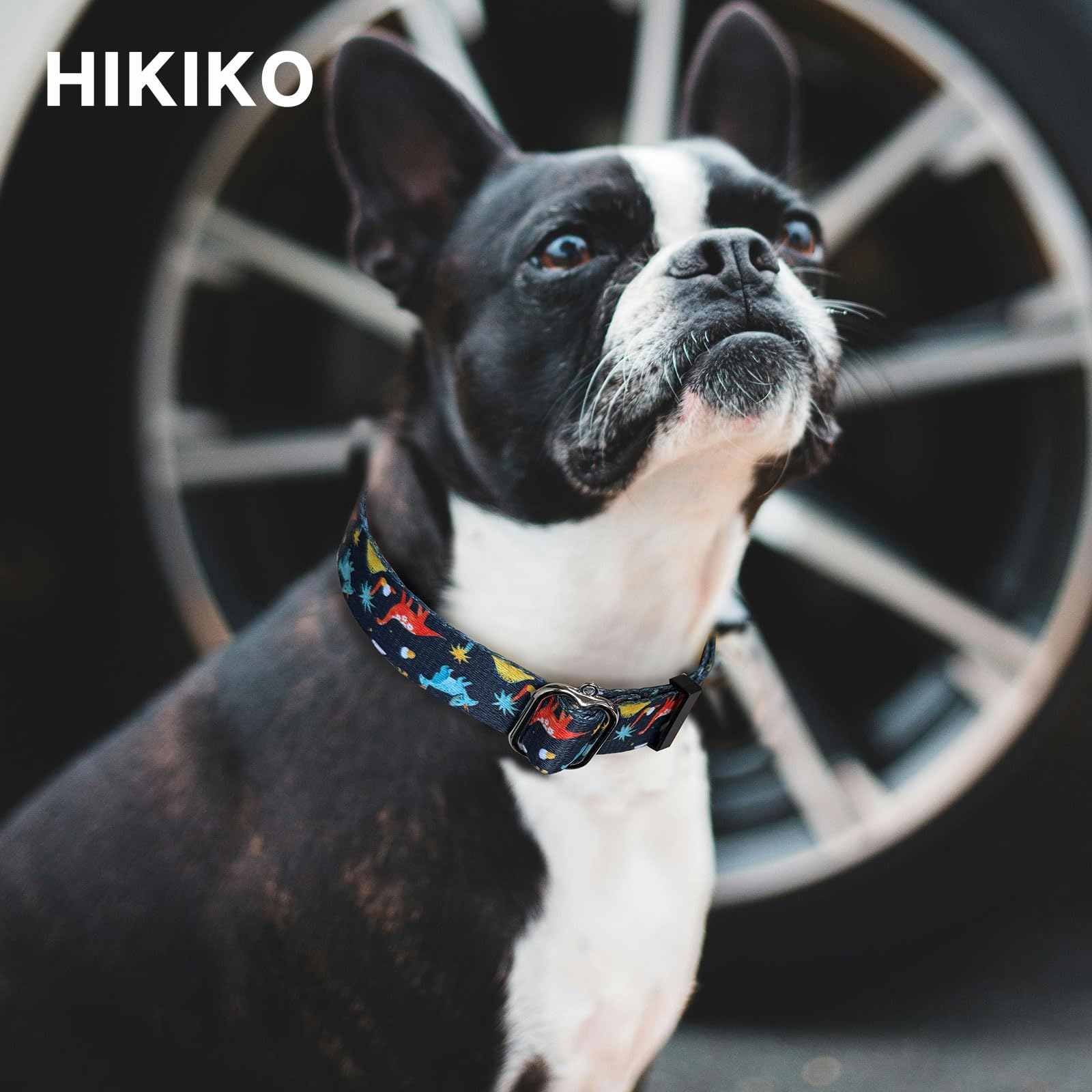 Hikiko Martingale Collar For Dogs With No Buckle Boy Male No Pull Dog Collars For Medium Dogs,Dinosaur,M
