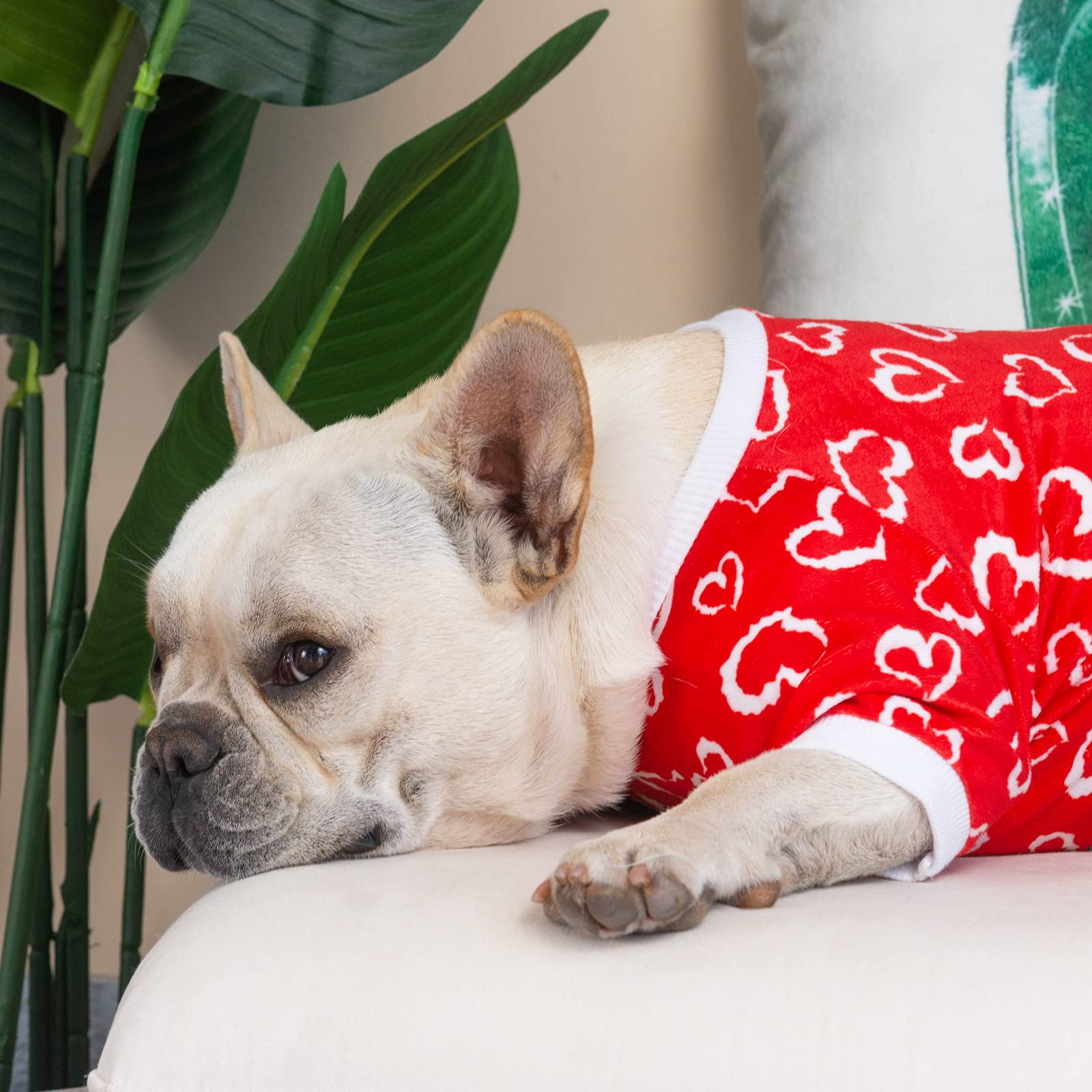 Cutebone Small Dogs Valentines Outfit Soft Puppy Onesies Pjs Dog Pajamas Pet Coat Cat Apparel Comfy Doggie Jumpsuit Bodysuit For