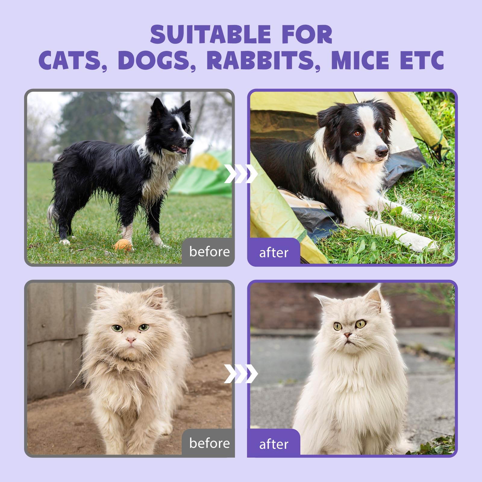 Hicc Pet Cleaning Deodorizing Bathing Wipes For Dogs And Cats, Hypoallergenic Dogs Grooming Wipes, Coconut Oil Nourish Fur, Cat Cleaning Gloves Wipes For Daily Care And Traveling - Unscented