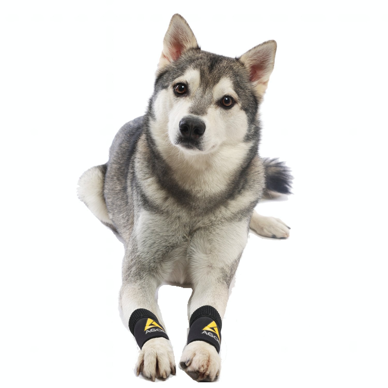 AGON Pair Dog Canine Front Leg Brace Paw Compression Wraps with Protects Wounds Brace Heals and Prevents Injuries and Sprains He