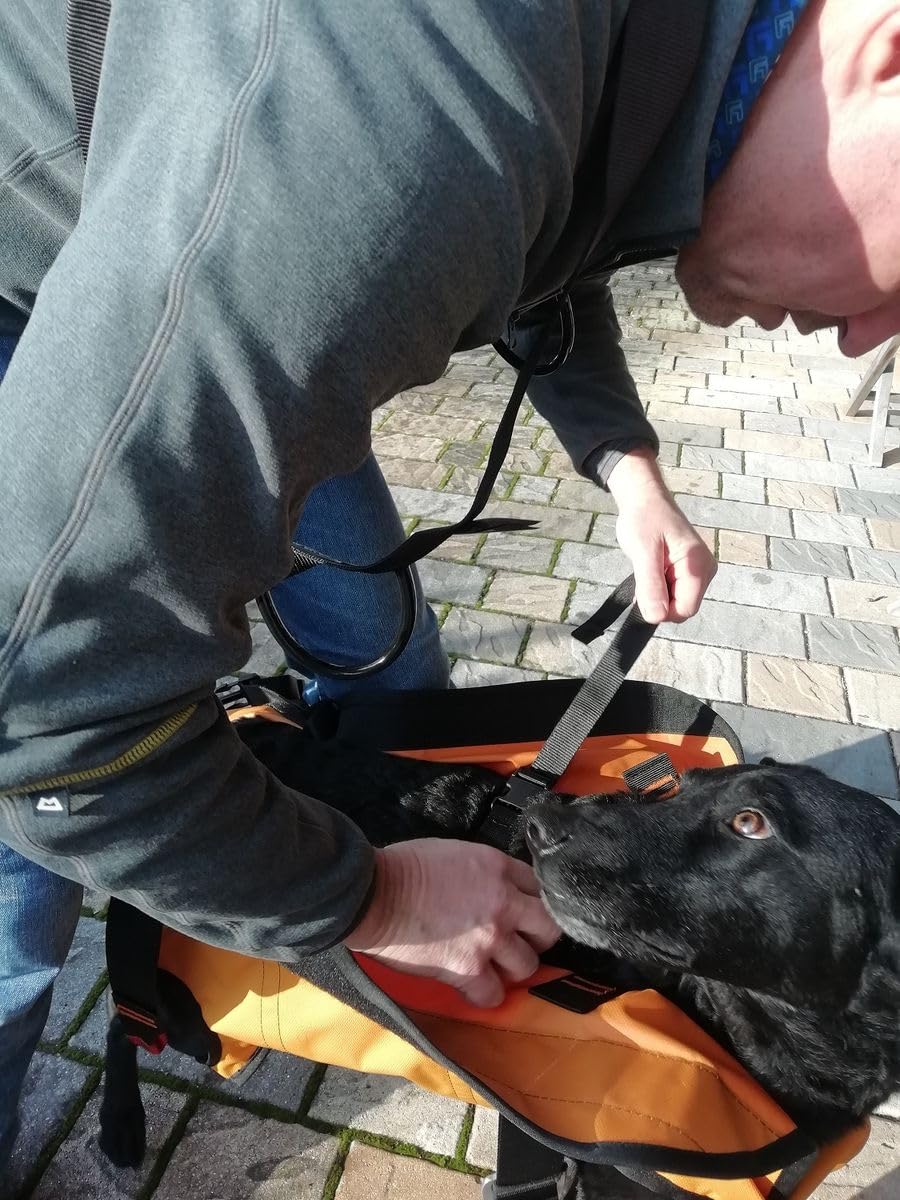 Singing Rock Laika Dog Harness