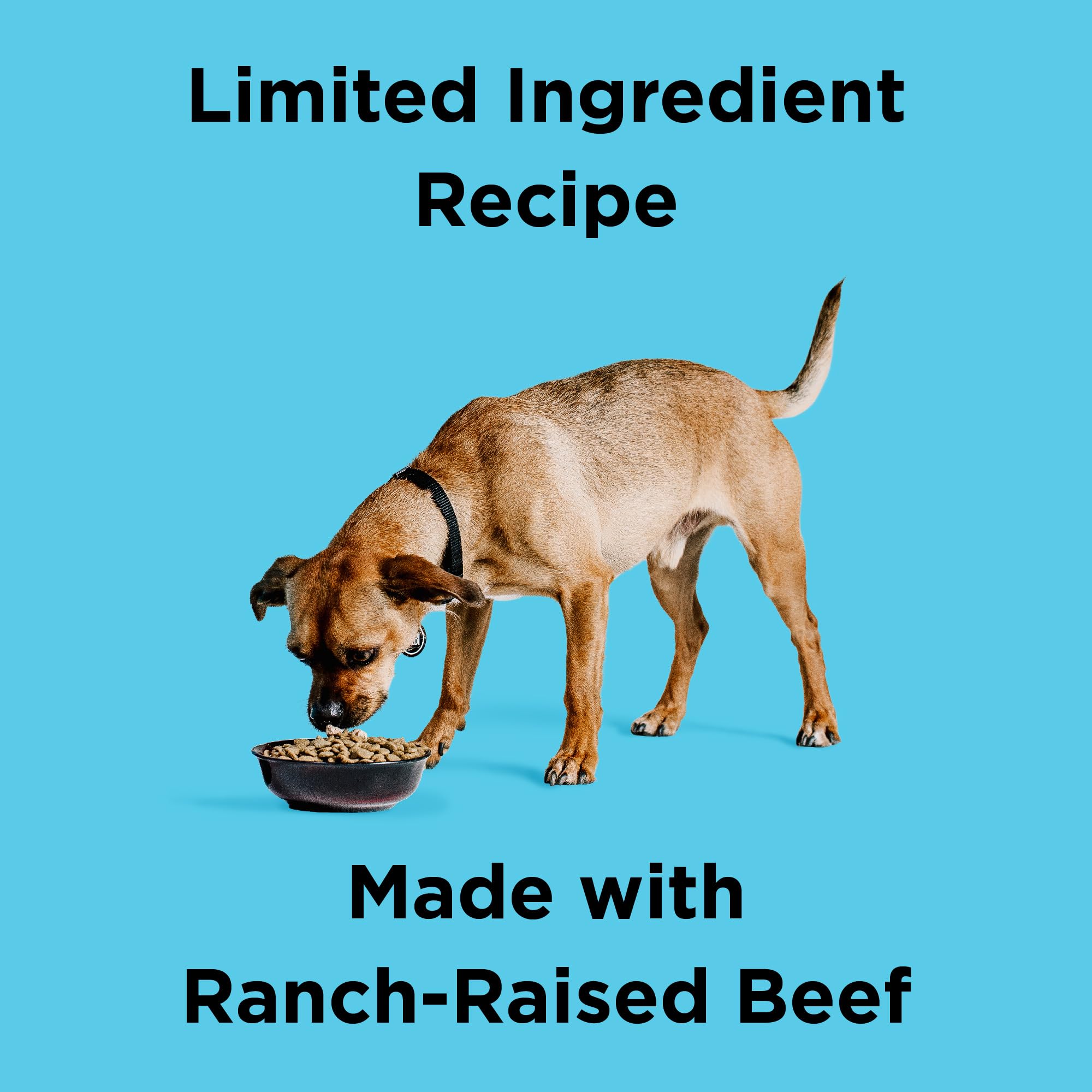 BIXBI Liberty Grain Free Dry Dog Food, Beef, 22 lbs - Fresh Meat, No Meat Meal, No Fillers - Gently Steamed & Cooked - No Soy, C