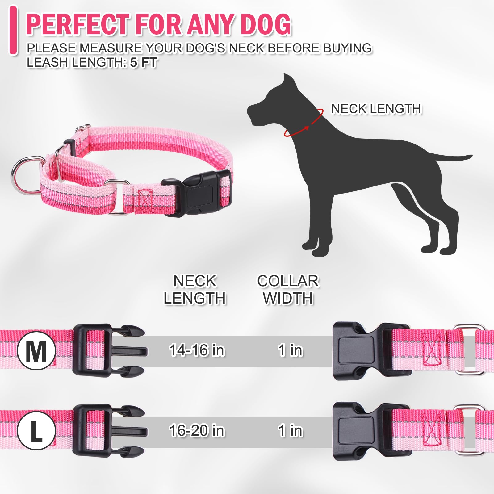 Esgpet Martingale Dog Collar And Leash Set For Walking, Playing, Training, Reflective Adjustable Puppy Collars With Leash For Sm
