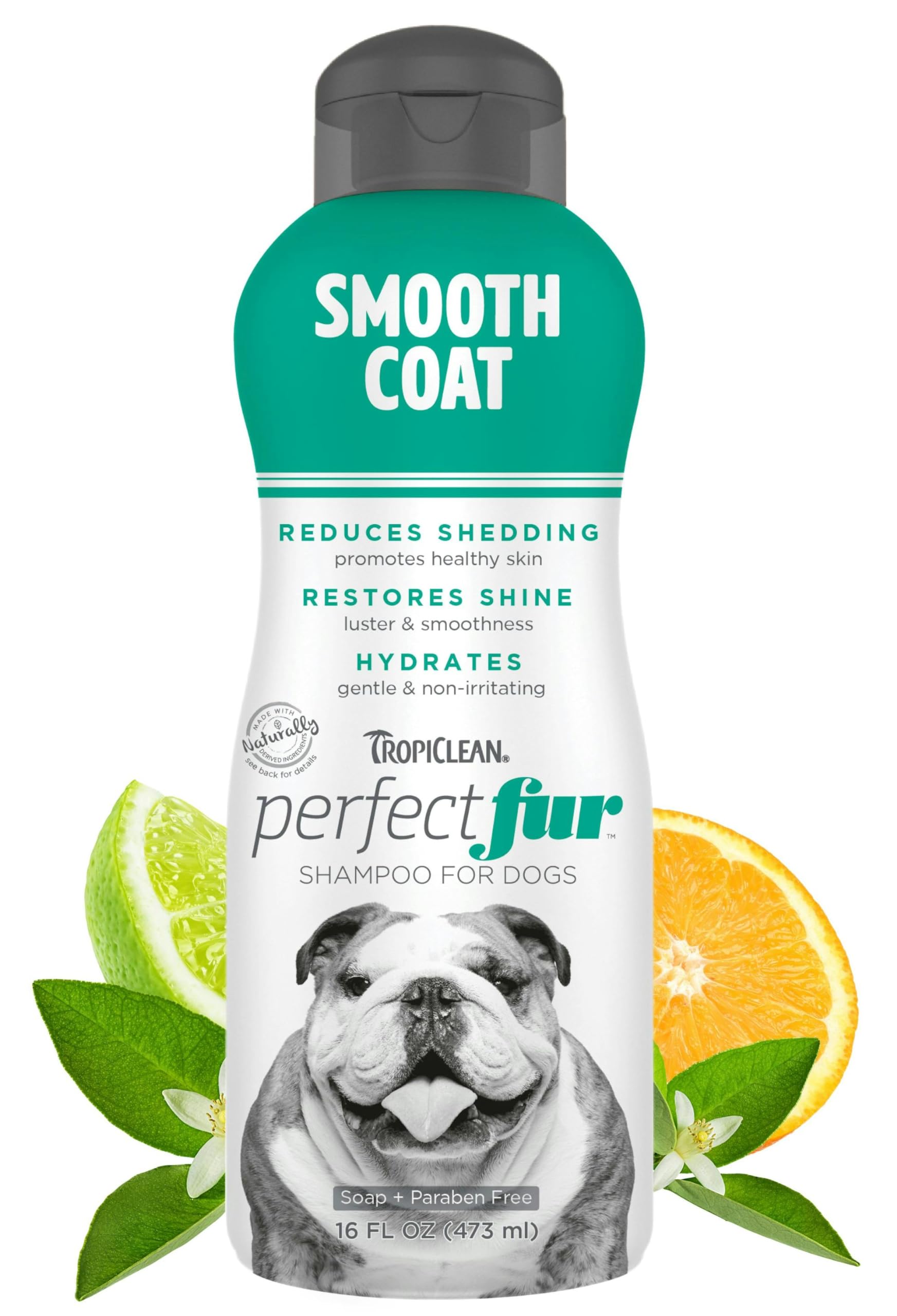 Tropiclean Perfect Fur Dog Shampoo For Shedding Control & Restoring Shine For All Breeds With A Smooth Coat | 16 Oz