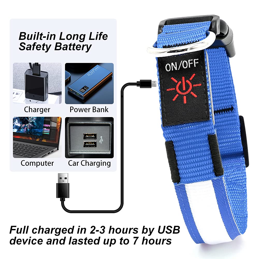 Yfbrite Ultra Light Usb Rechargeable Led Dog Collar - Adjustable Light Up Dog Collar - Waterproof Dog Collar - Flashing Dog Collar Visiblity & Safety For Your Dogs (Blue, Small)