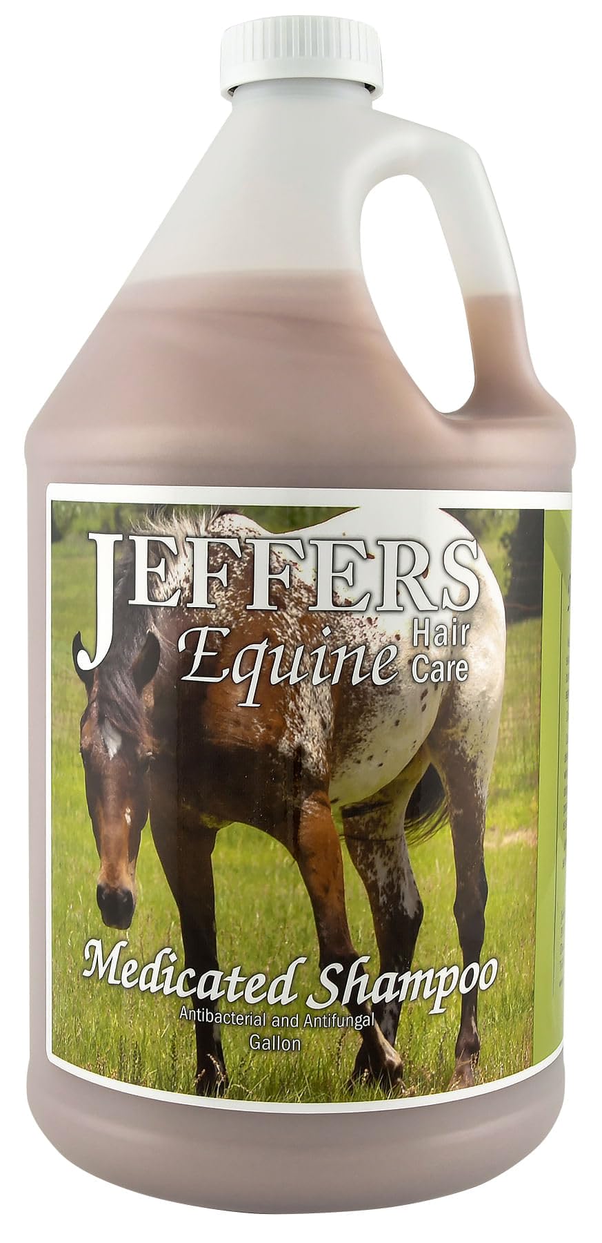 Jeffers Equine Medicated Horse Shampoo, 1 Gallon - Detergent Free Horse Wash with Coconut Oil Base for Moisturizing, Grooming, C