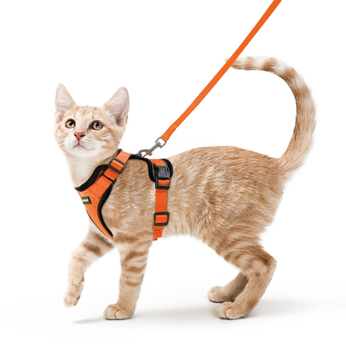 Rabbitgoo Cat Harness And Leash For Walking, Escape Proof Soft Adjustable Vest Harnesses For Cats, Easy Control Breathable Reflective Strips Jacket, Orange, Xs