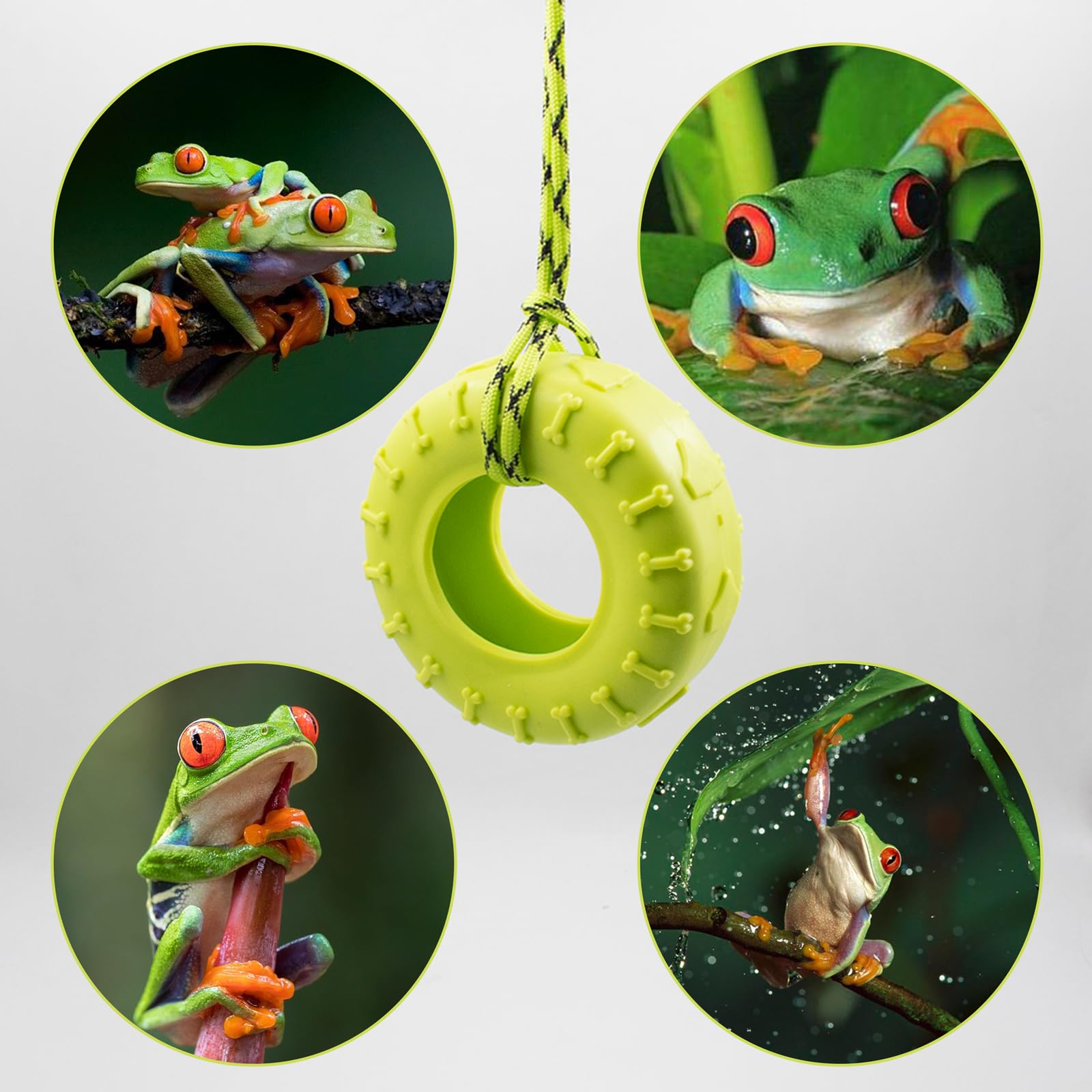 2 Pcs Tree Frog Toy Tire Swing Tree Frog Habitat Miniature Tire Swing With 3 Suction Cup Hook Frog Tank Accessories Terrarium De
