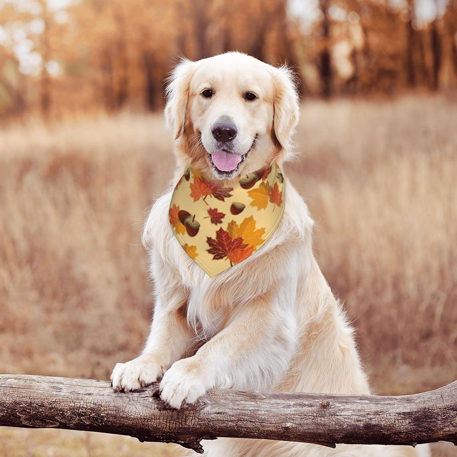 Garlaibi Multicolor Geometric Fall Dog Kerchief Bandana, One Size, Polyester, Tie Closure, Hand Wash Gently