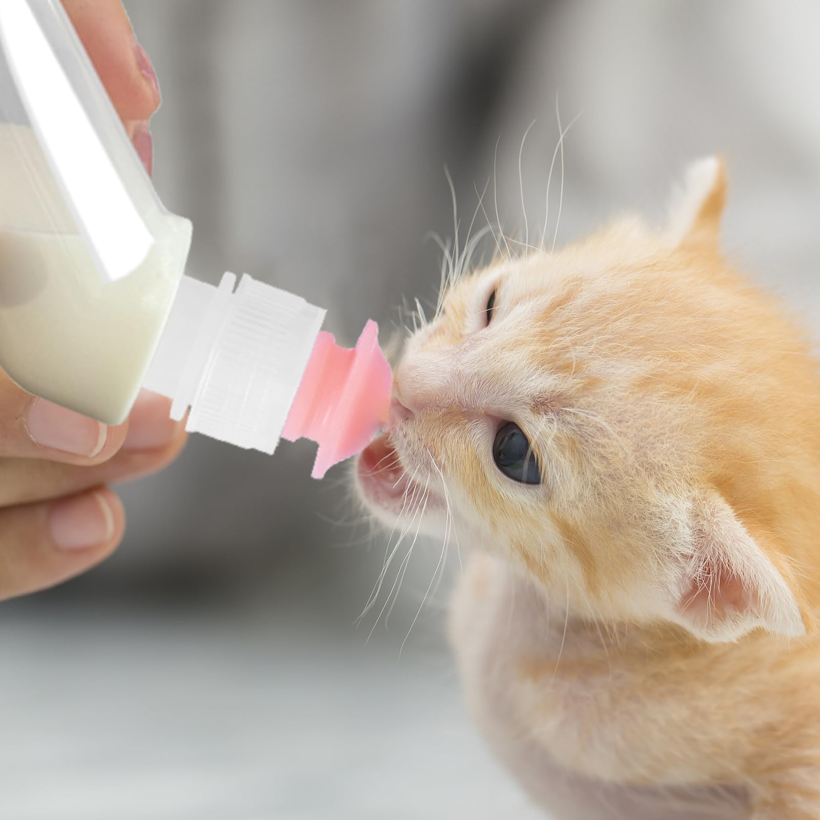 FEDIPUP Pack of 5 Reusable Pet Nursing Bottles with Short Silicone Nipples - Curved Feeding Bottles for Newborn Kittens, Puppies