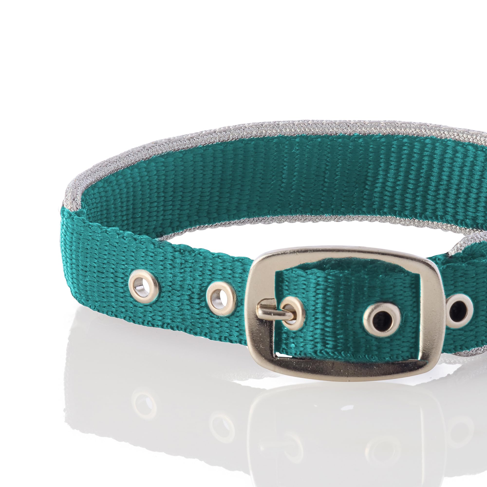 Pet Passion Adjustable Silver Trimmed Dog Collar For Pets Small, Medium And Large Dogs, Silver/Turquoise, Large