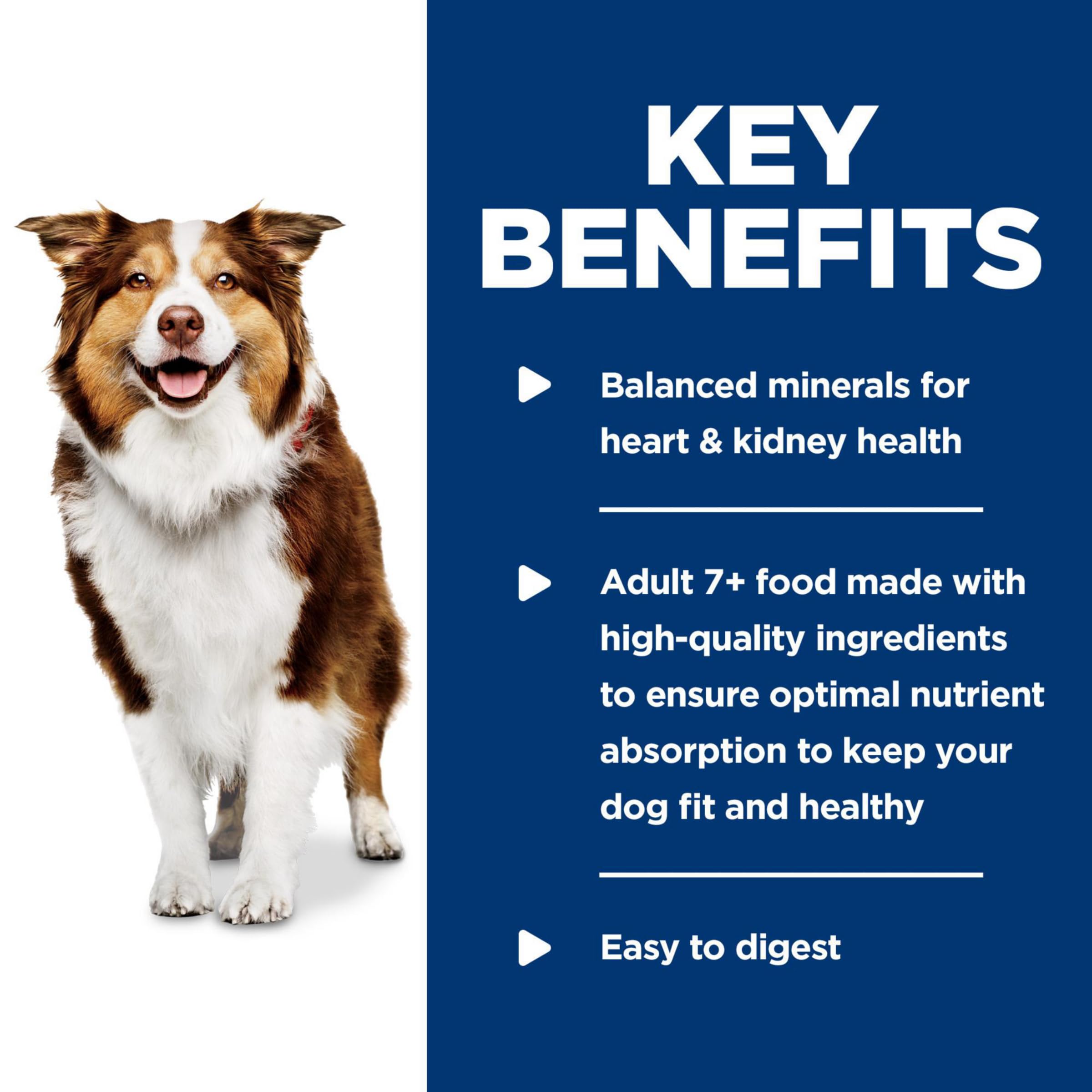 Hills Science Diet Healthy Cuisine, Senior Adult 7+, Senior Premium Nutrition, Wet Dog Food, Braised Beef, Carrots & Peas Stew,