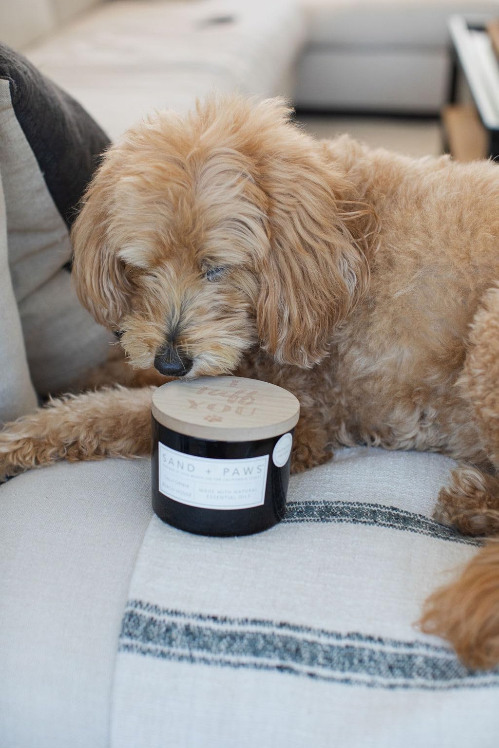 Sand + Paws Scented Candle - California Beach House-Luxurious Air Freshening Jar Candles Neutralize pet Odors and Enhance Home d