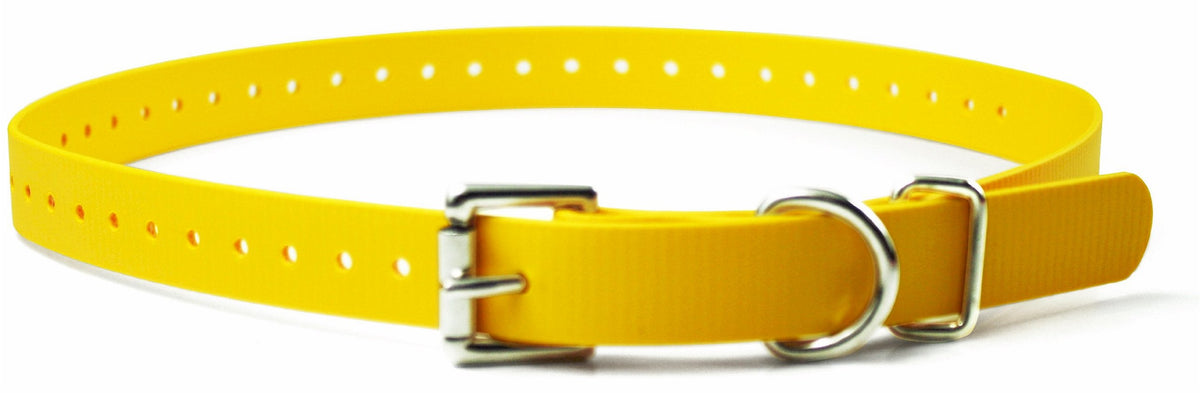 Educator Biothane Dog Collar, Waterproof, Odorproof, Metal Buckle And D Ring, Adjustable For Custom Fit, Cool And Comfortable, F