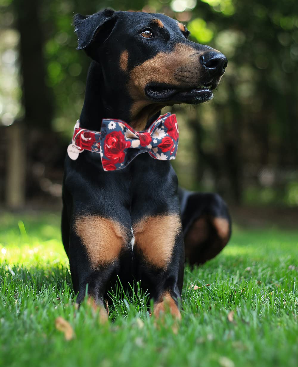 Dogwong Cotton Summer Dog Collars, Floral Dog Collar, Adjustable Heavy Duty Girl Dog Collar With Bow For Small Medium Large Dogs