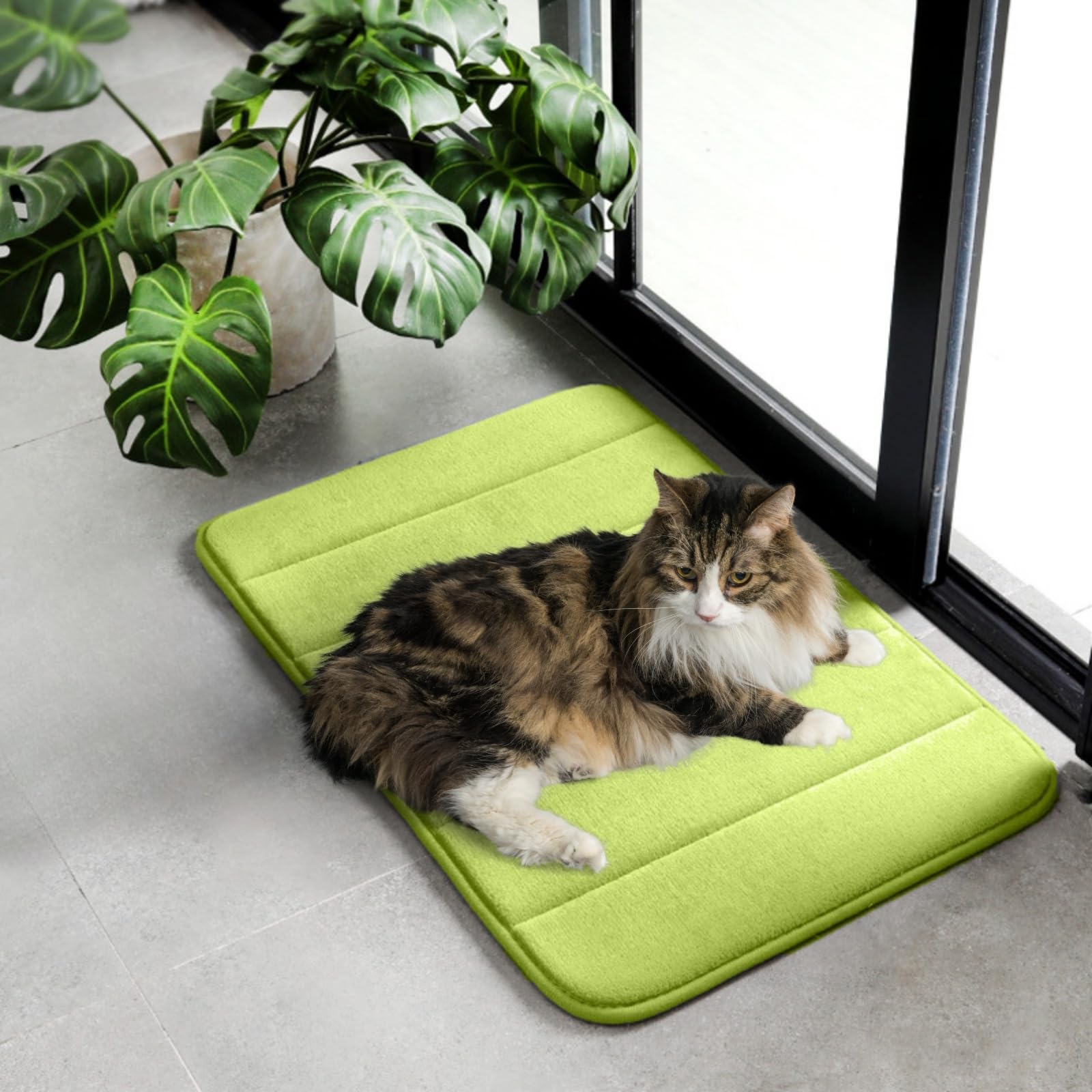 Washable Pet Bed Mat (23.6 x 15.8 Inch) - 3-Pack for Indoor/Outdoor Use, Soft Sleeping Mat for Cats, Small Pets, Kitty, Puppy, R