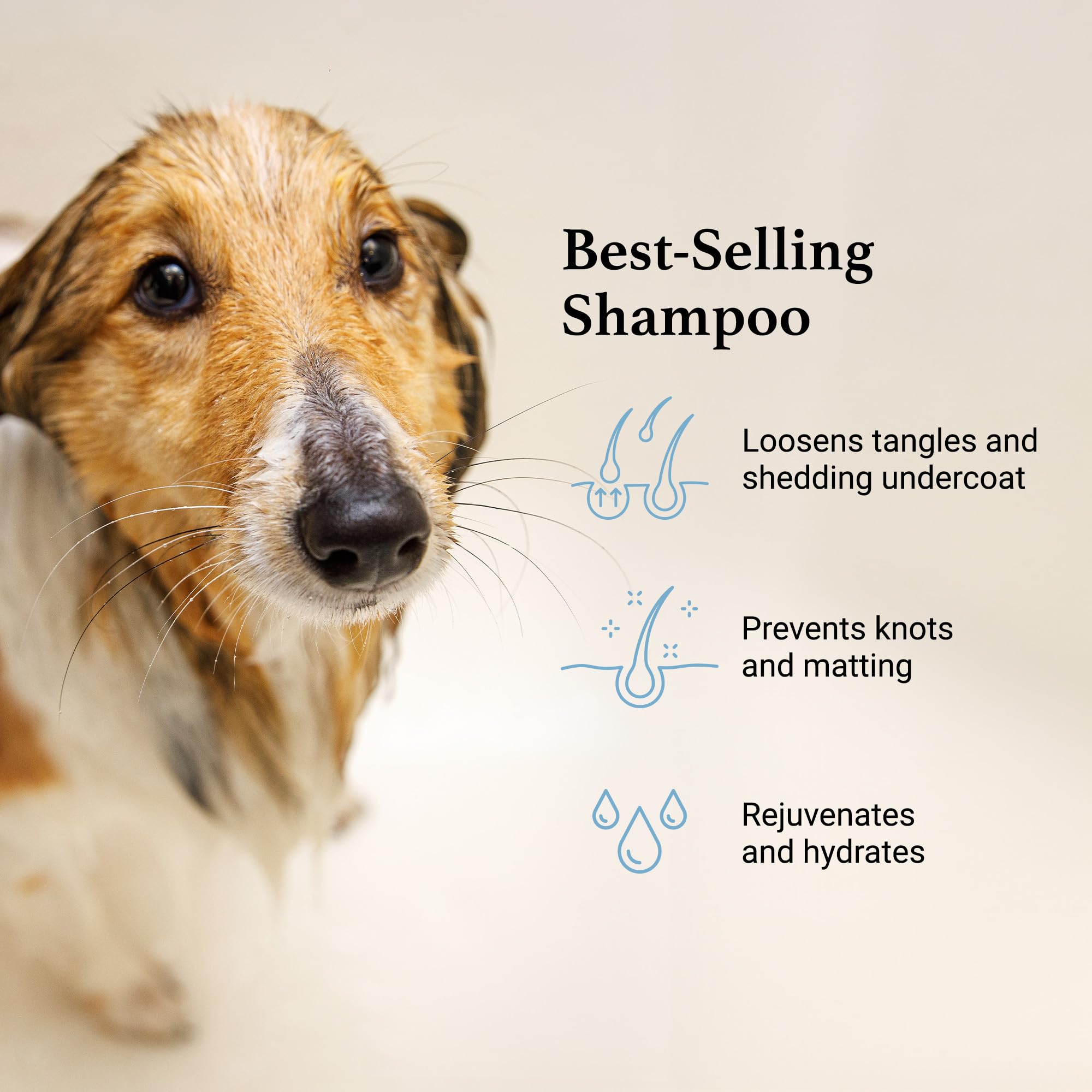 Igroom Deshedding & Detangling Dog Shampoo, Luxury Pet Beauty Care, Loosen Tangles + Unwanted Undercoat, Adds Shine + Volume, Made In Usa (1 Gal)