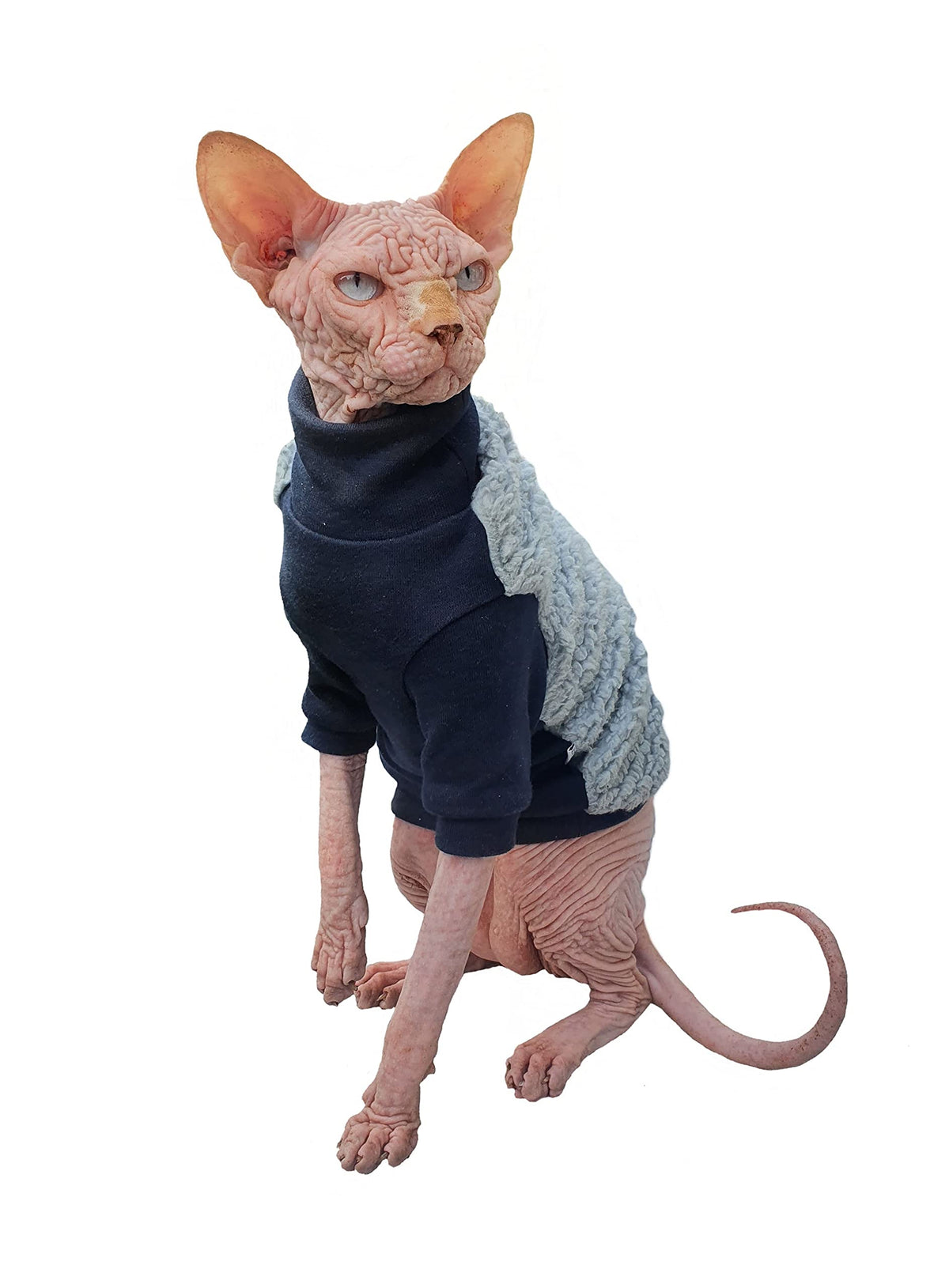 Kotomoda Hairless Cat'S Cotton Stretch Sweater Winter Sweater Sport Chic For Sphynx Cat (Large)