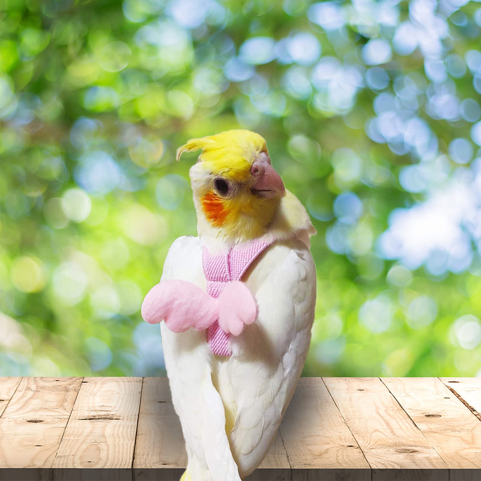 Dnoifne Pet Parrot Bird Harness And Leash, Adjustable Training Design Anti-Bite, Bird Nylon Rope With Cute Wing For Parrots, Suitable For Alexandrine, Scarlet, Keck, Mini Macaw & Same Size Bird (Pink)